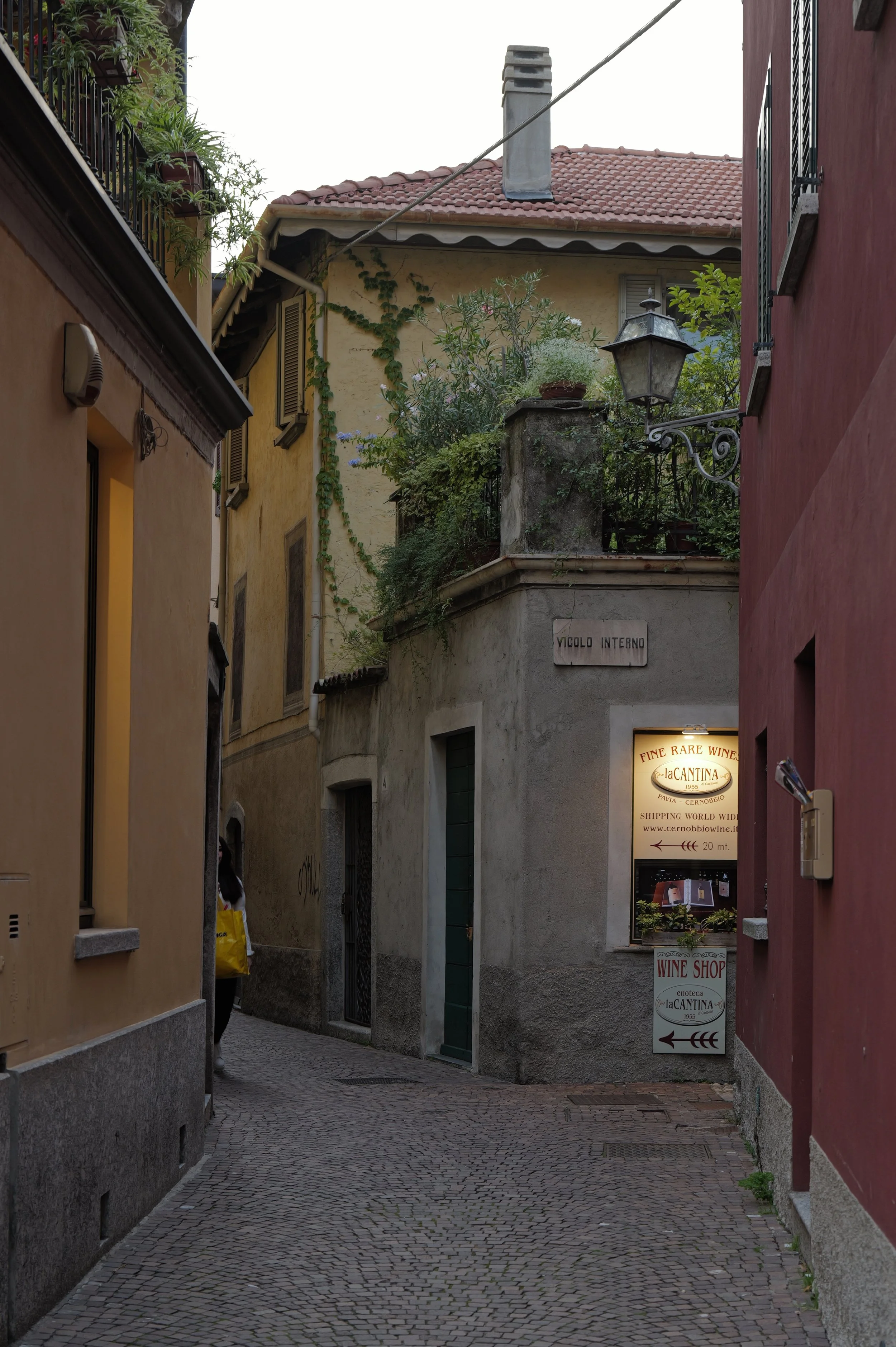 L1031674.jpeg