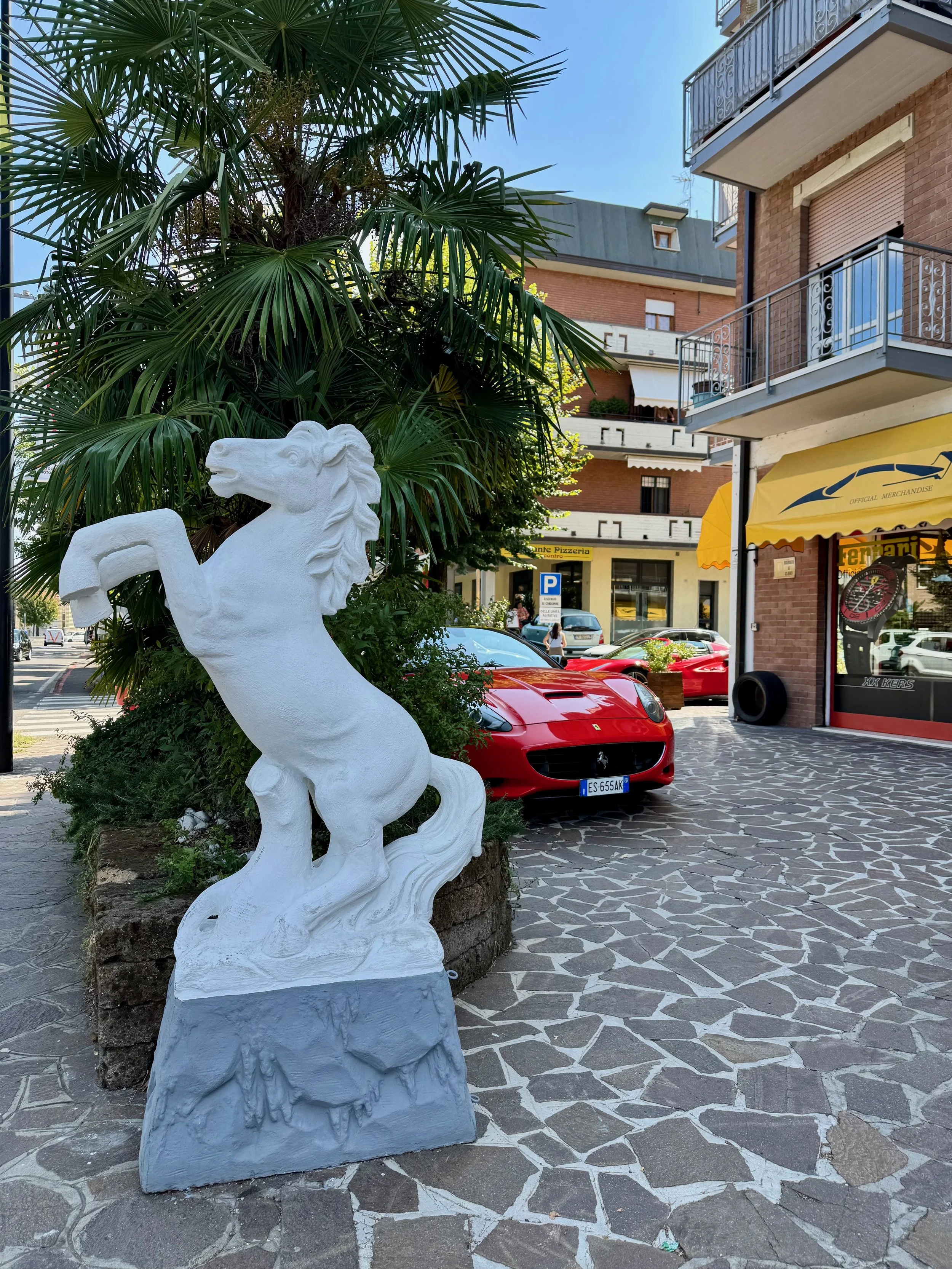 IMG_0483.jpeg