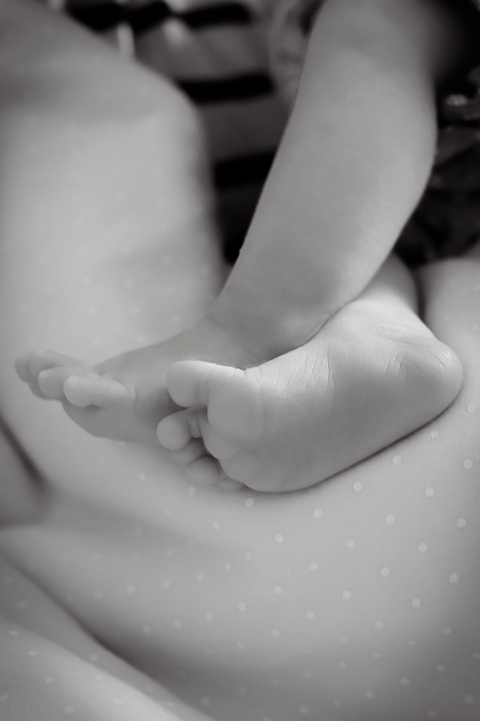BURBANK_NEWBORN_PHOTOGRAPHER.jpg
