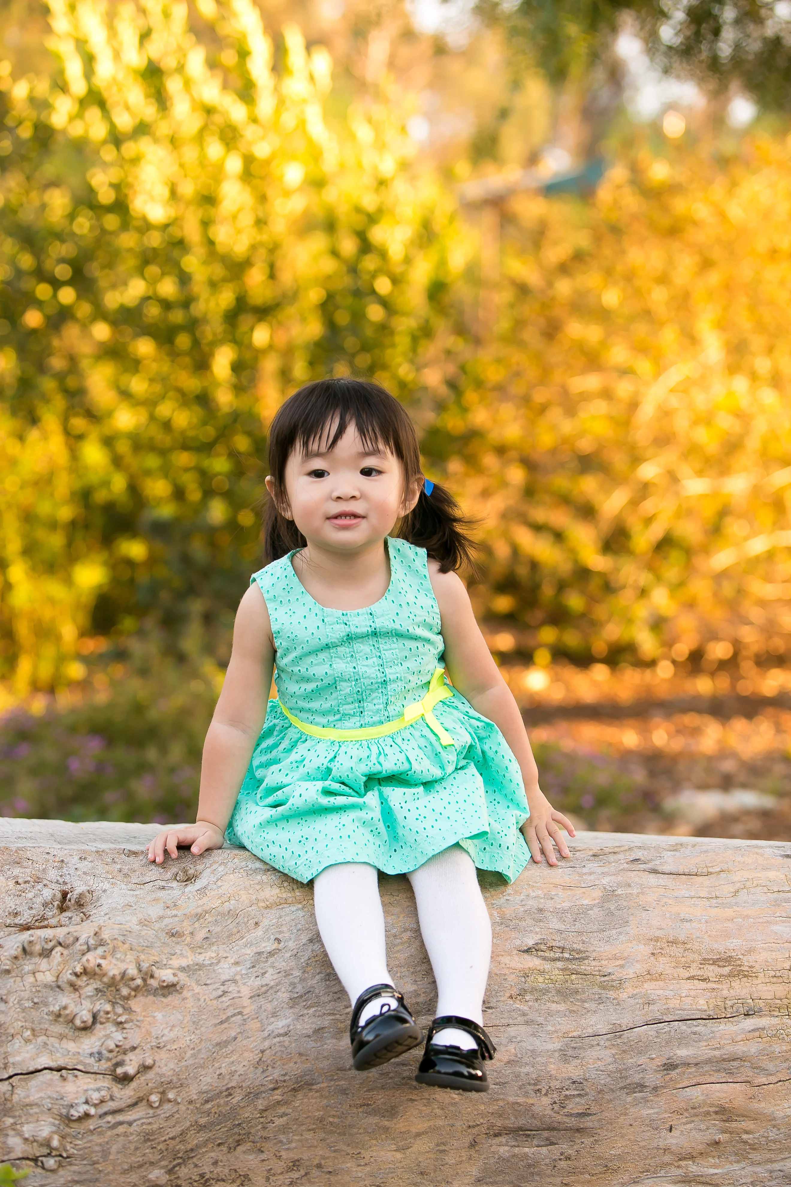 Celebrating Milestones // Maya turns 2 & family session Part 1