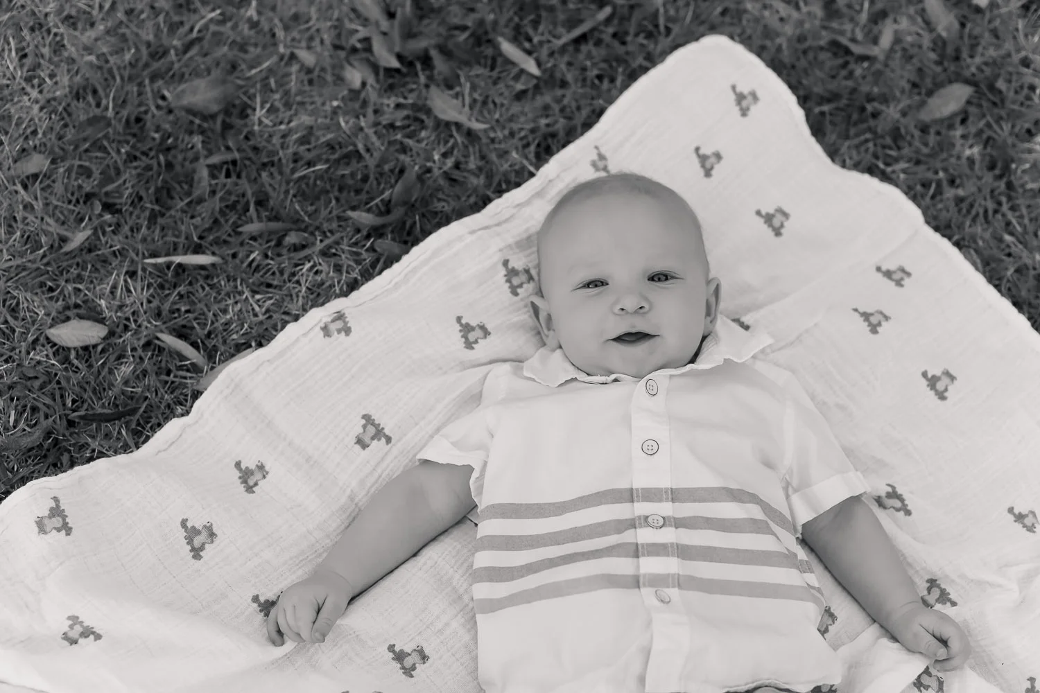 Long Beach Family Photos, Los Angeles Baby Portraits, 6 months milestones, Baby Austin, Gina Holt Photography, Outdoor Lifestyle Family Pictures, Best Family and Baby Photographer, Professional Family Photos