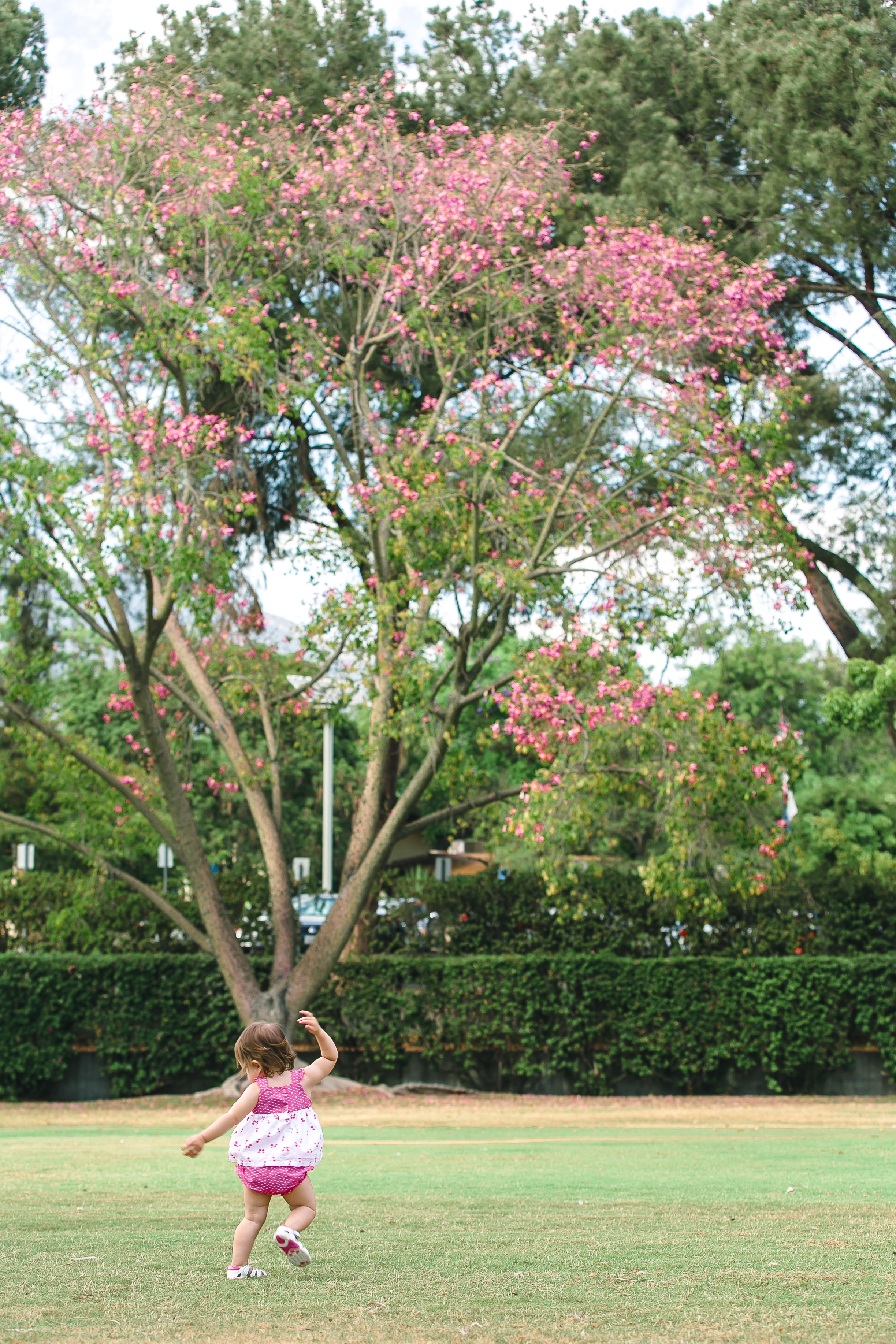 Los Angeles Family Photos, Arcadia Portrait Photography, Arboretum images, little girl with pink balloons, First Birthday, San Gabriel Lifestyle Photographer, Gina Holt Photography, Love, Celebrate, Amazing Family and Baby Pictures