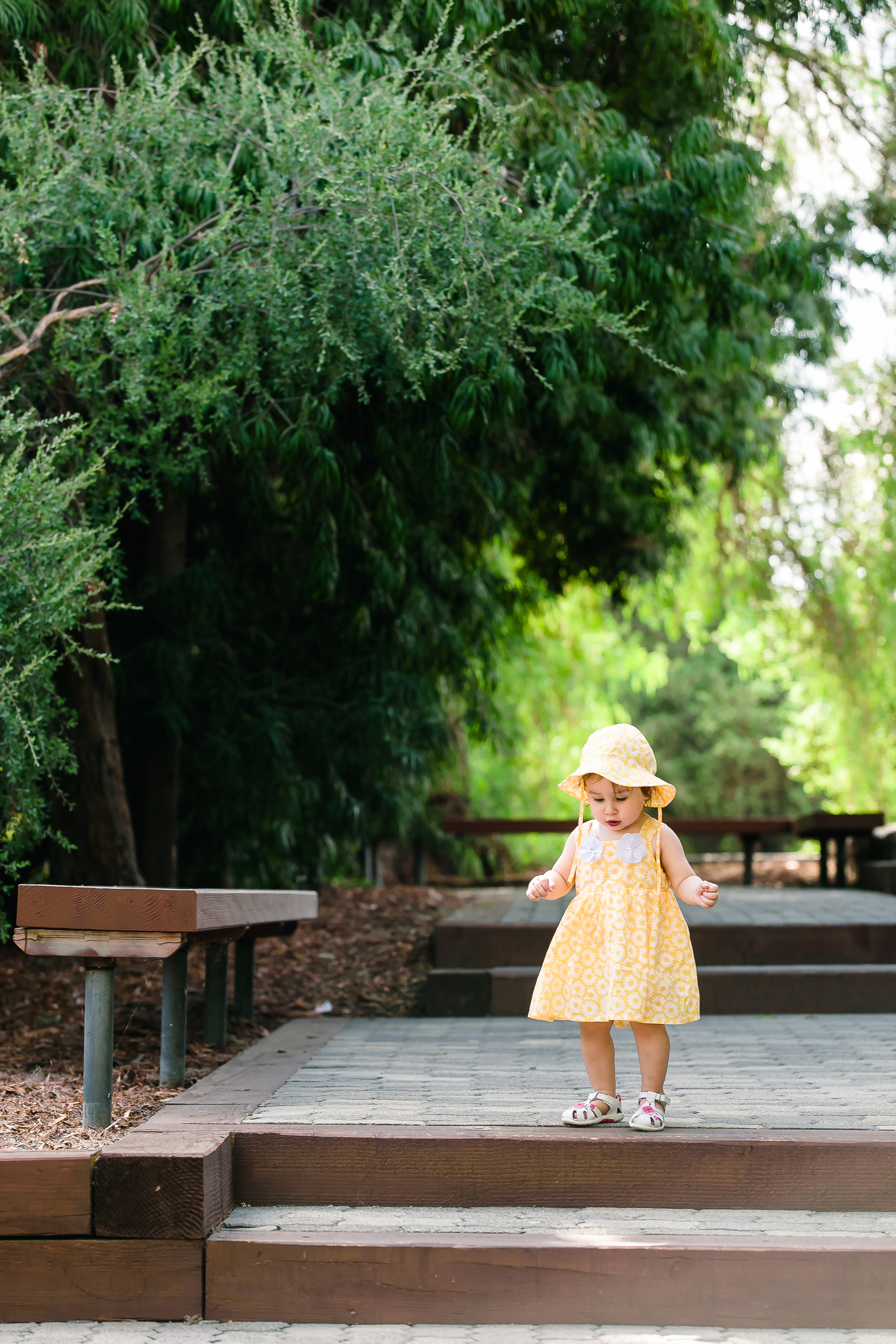 Los Angeles Family Photos, Arcadia Portrait Photography, Arboretum images, Little Yellow Dress, First Birthday, San Gabriel Lifestyle Photographer, Gina Holt Photography, Love, Celebrate, Amazing Family and Baby Pictures