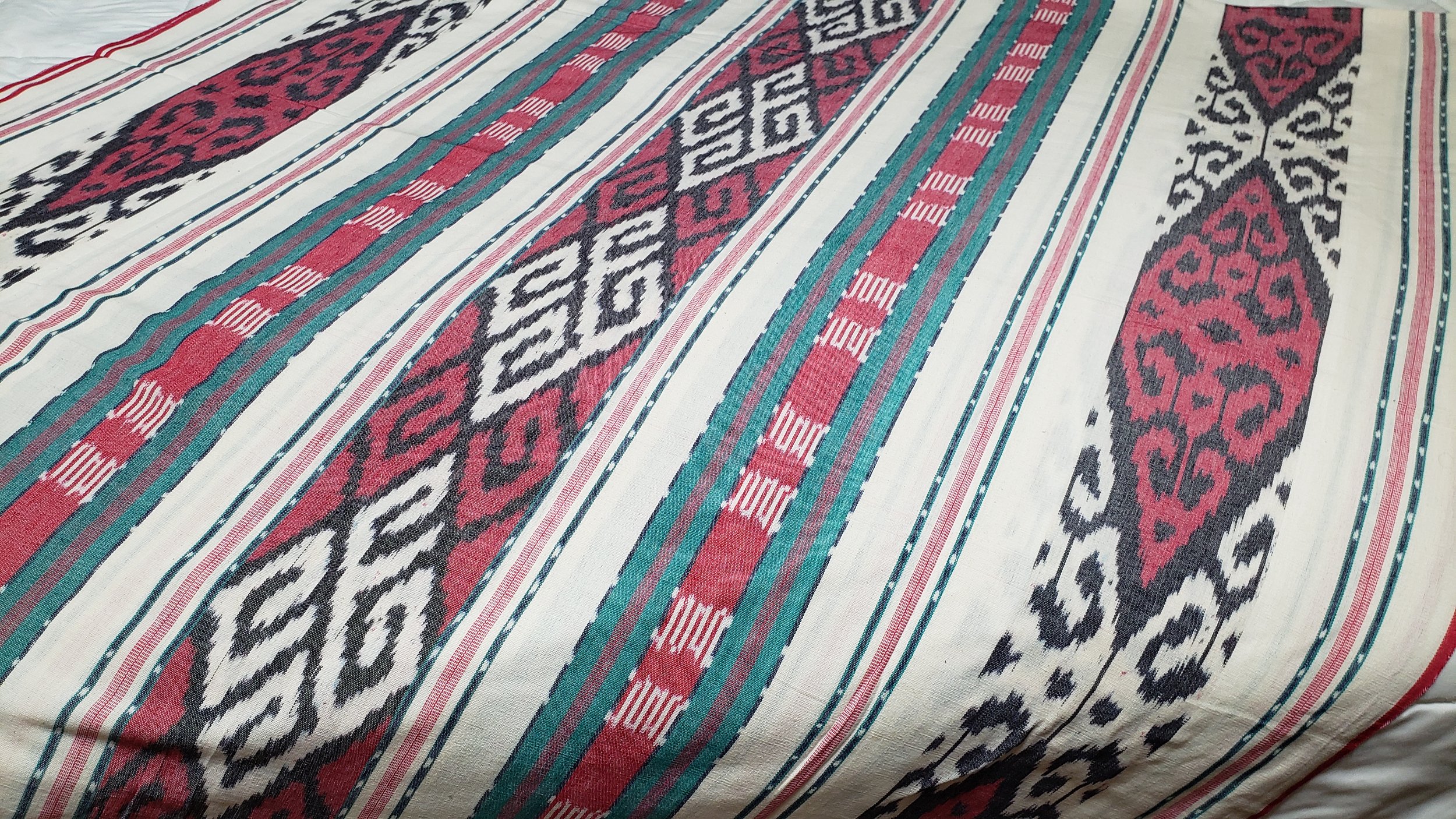 20230324_120055.jpg