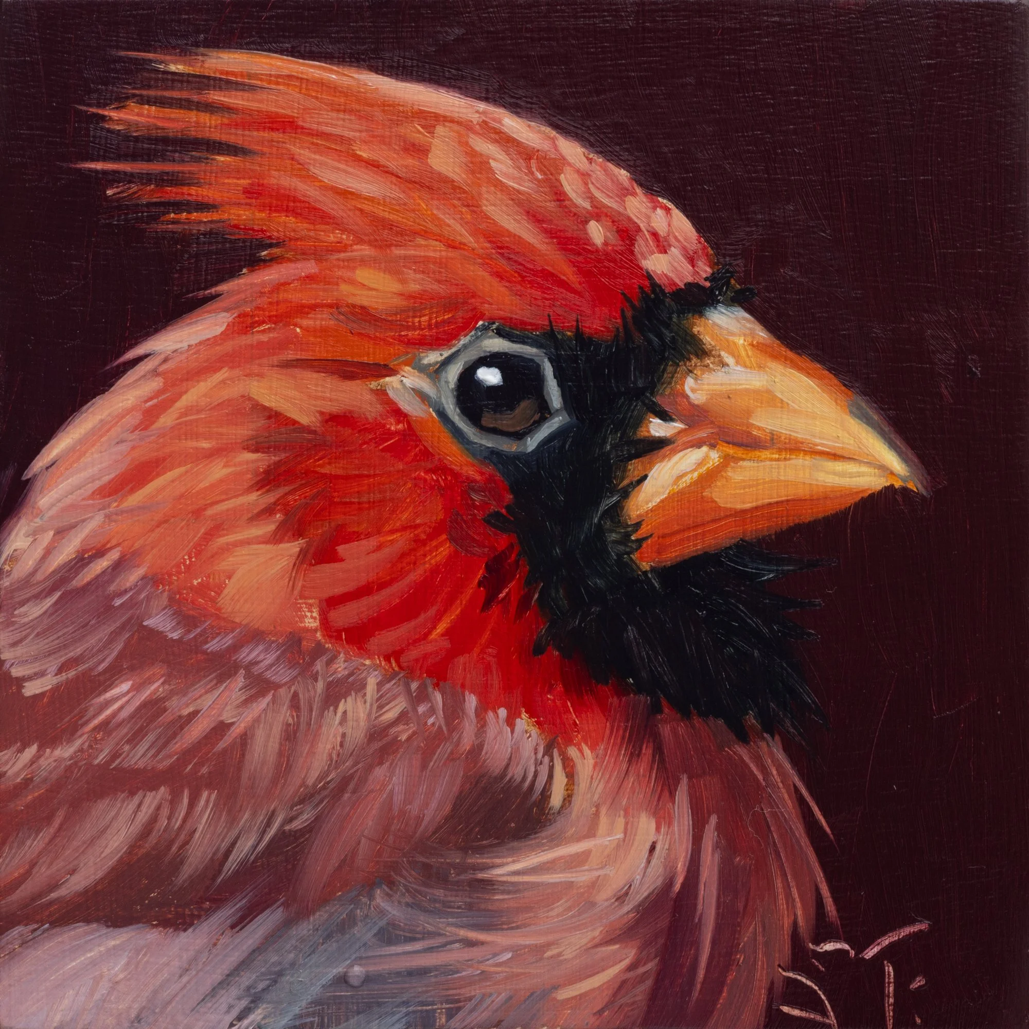 Northern Cardinal Portrait 8.jpg