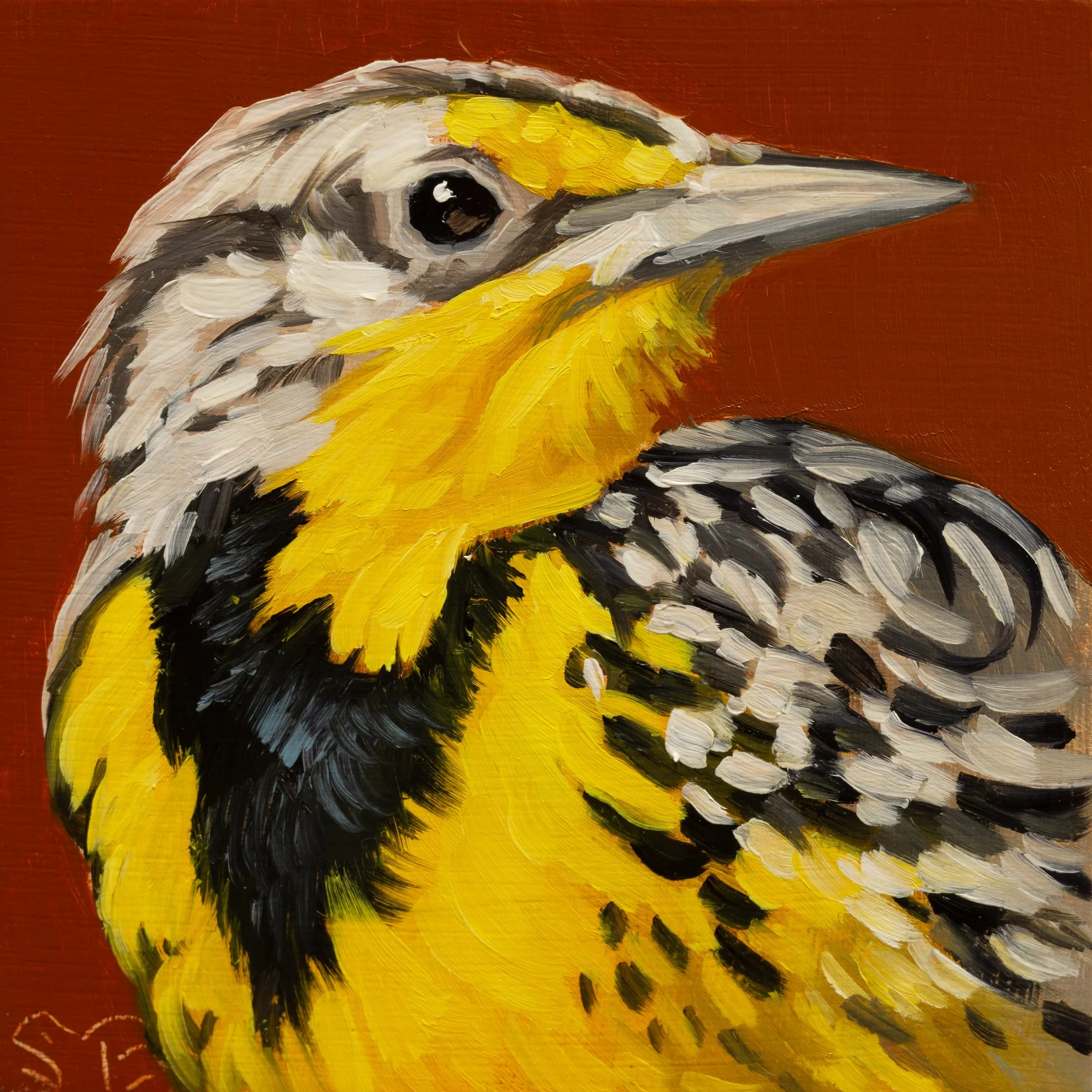 Western Meadowlark Portrait 10.jpg