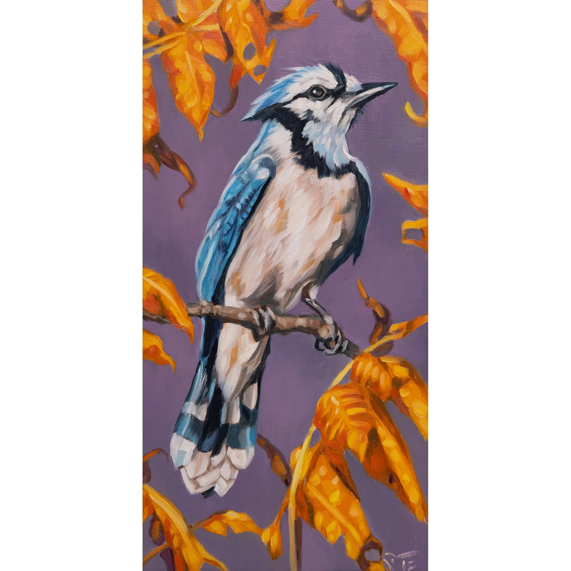 Autumn Jay square.jpg