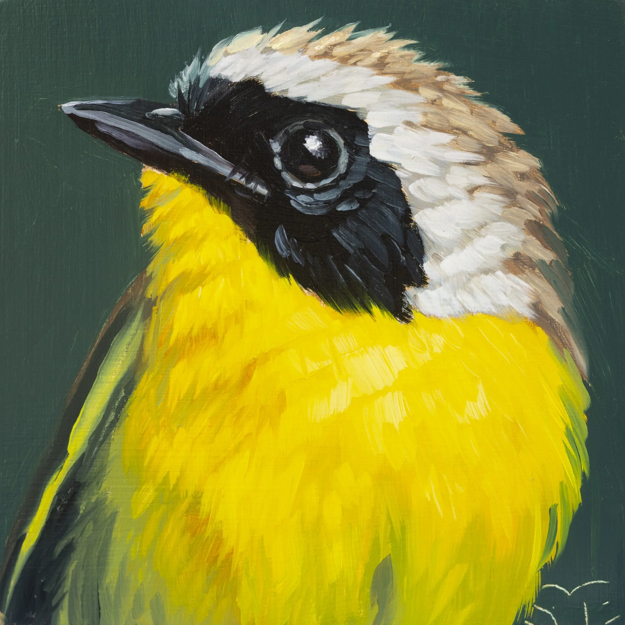 Common Yellowthroat Portrait 6.jpg