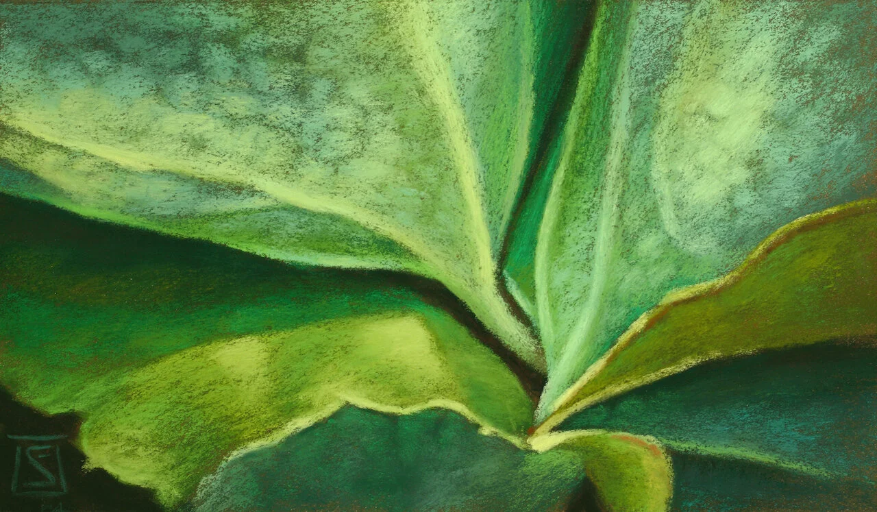 Emerald, Bound Study.jpeg