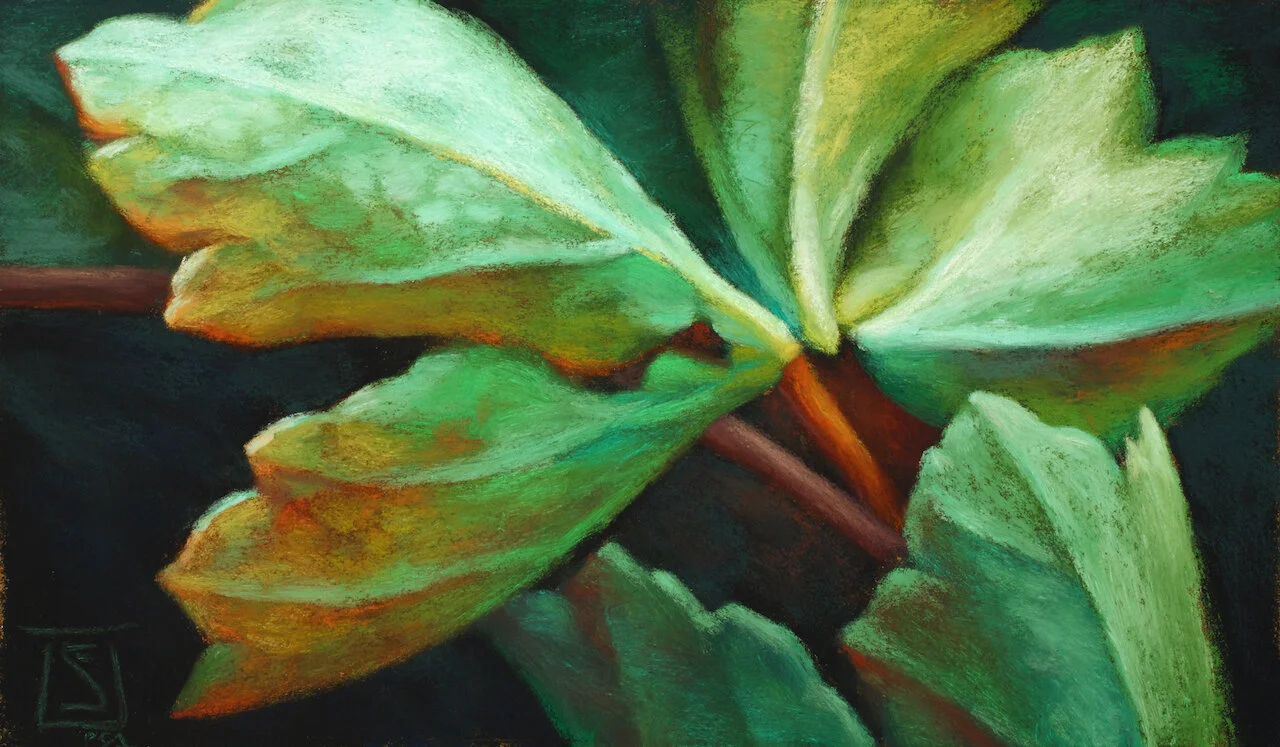 Bellaluna Study 2.jpeg