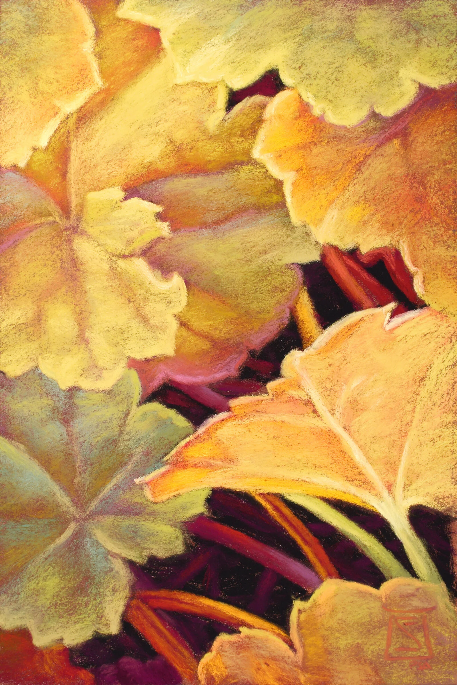 Lemon Drop Nº2.jpeg