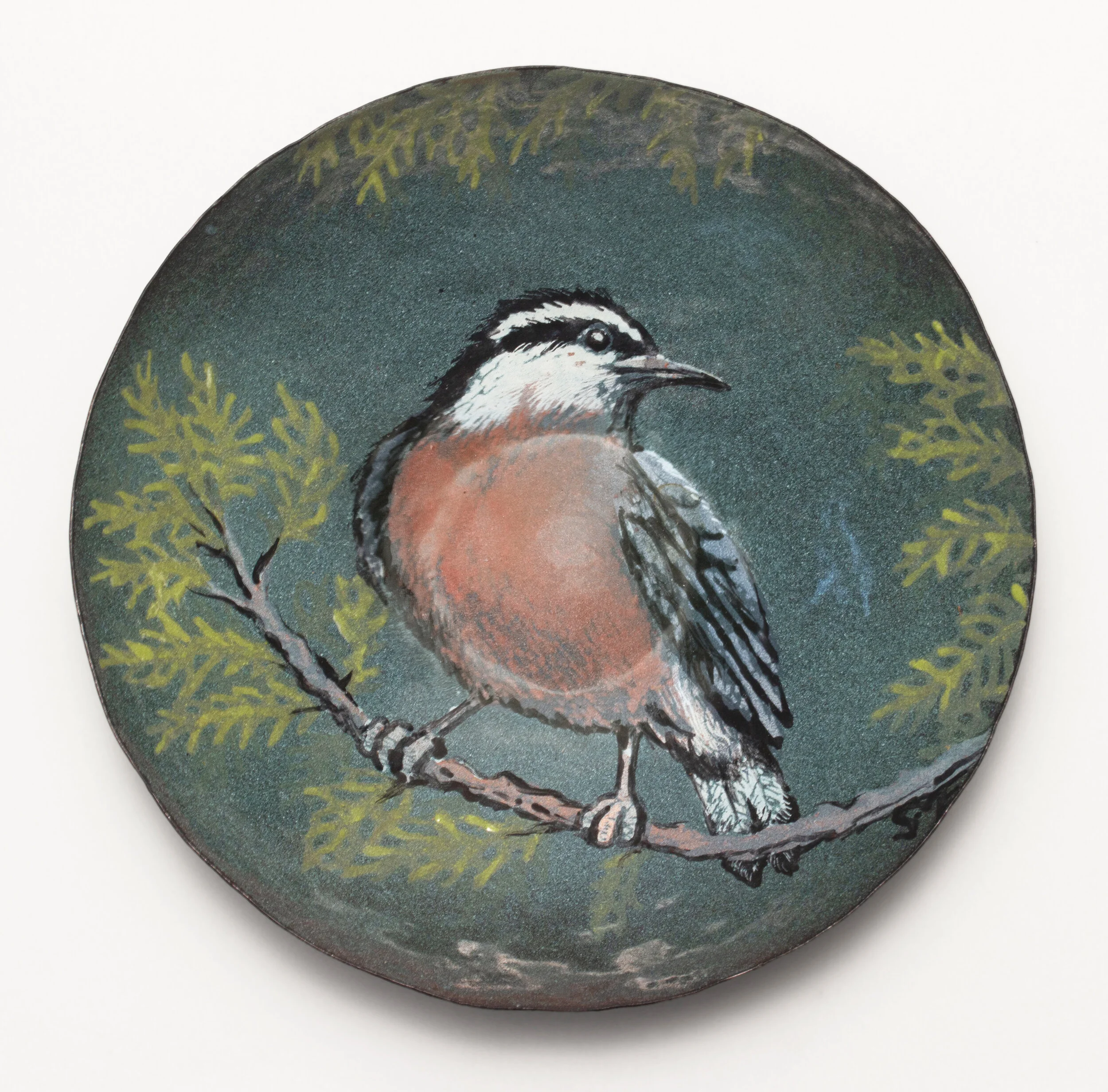 Nuthatch Dish.jpg