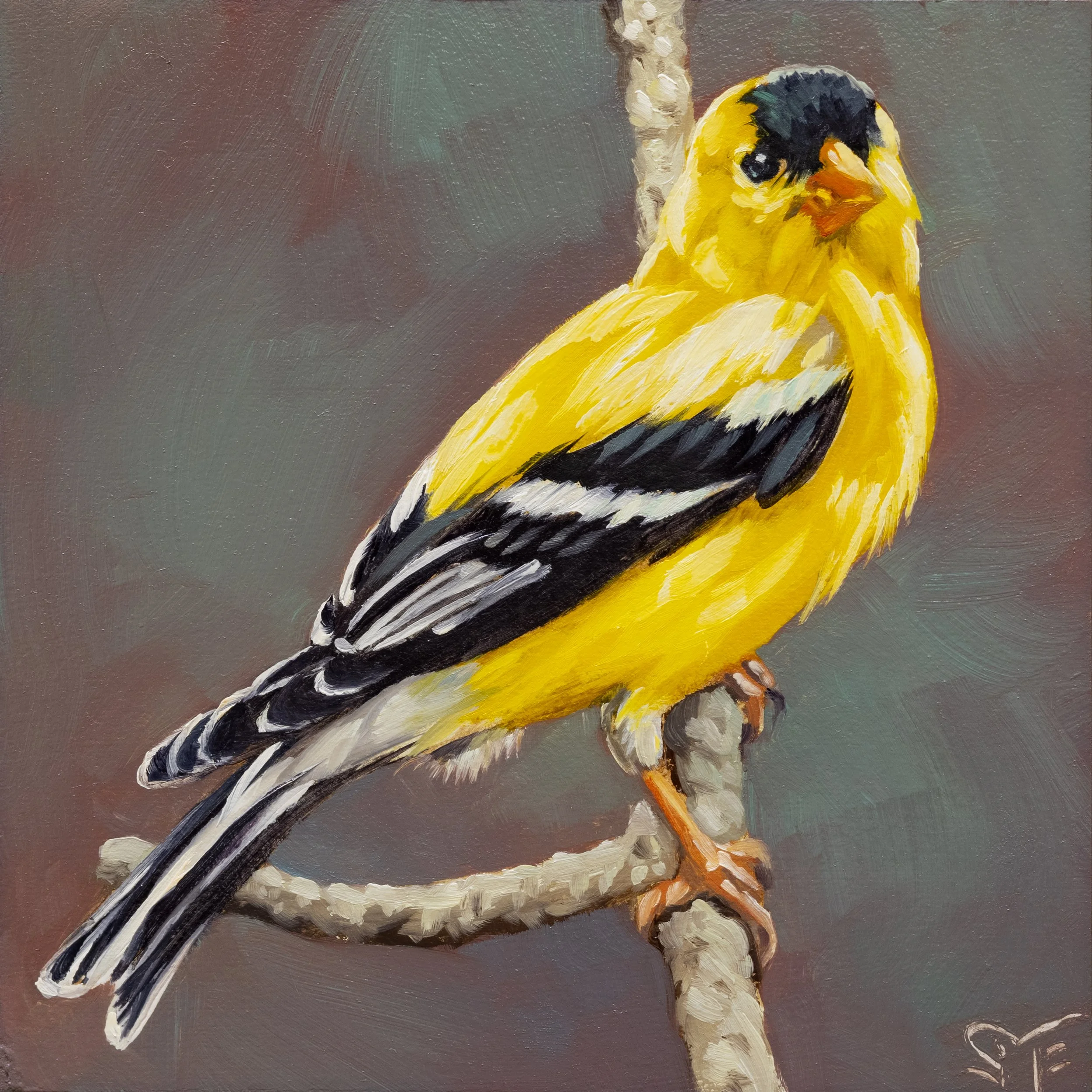 Goldfinch.jpg