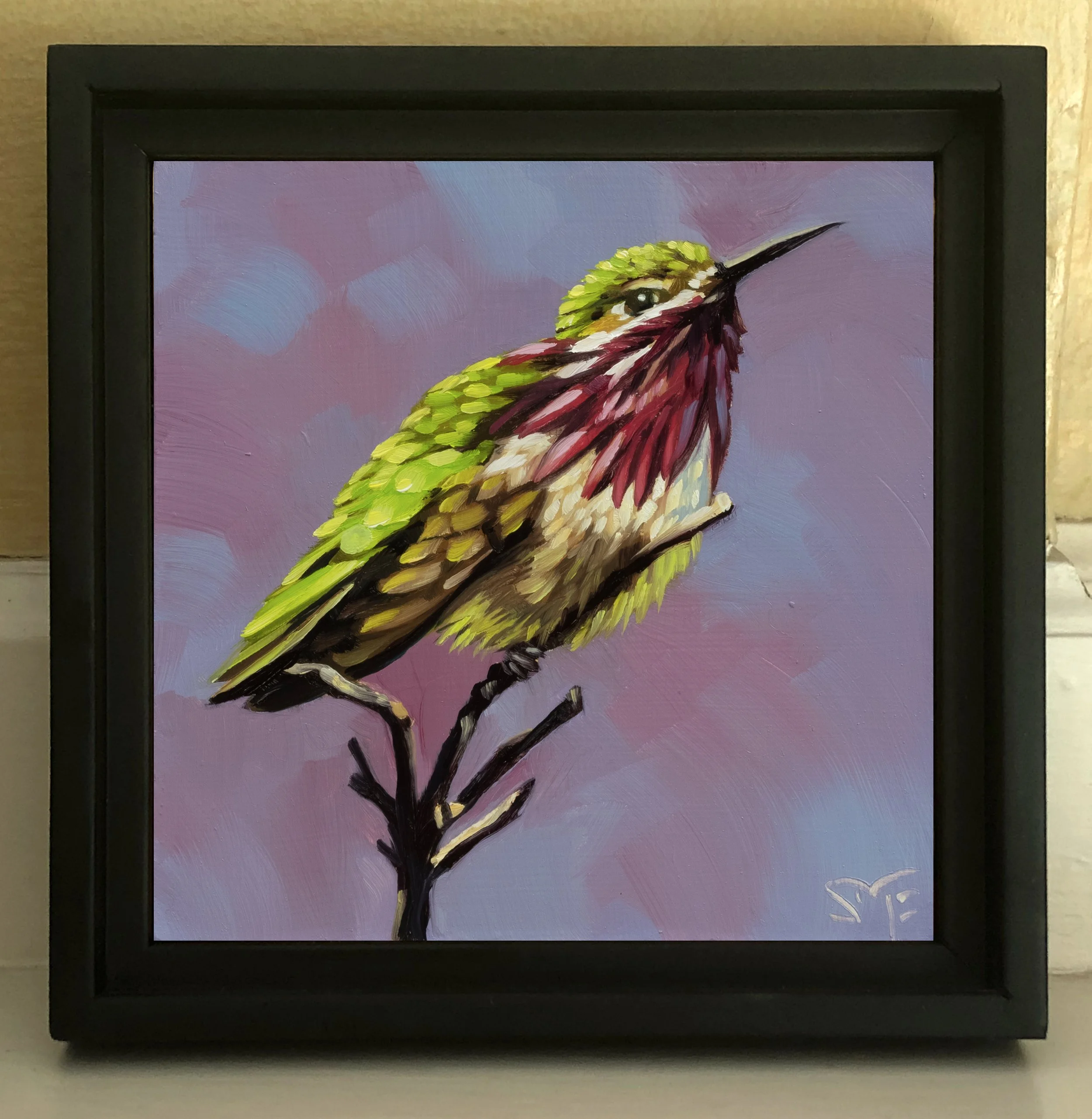 Calliope Hummingbird Framed Black.jpg