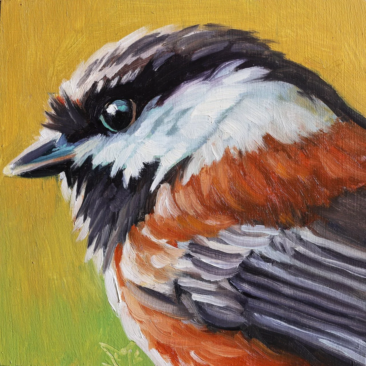 Chestnut-Backed Chickadee 4x4.jpeg