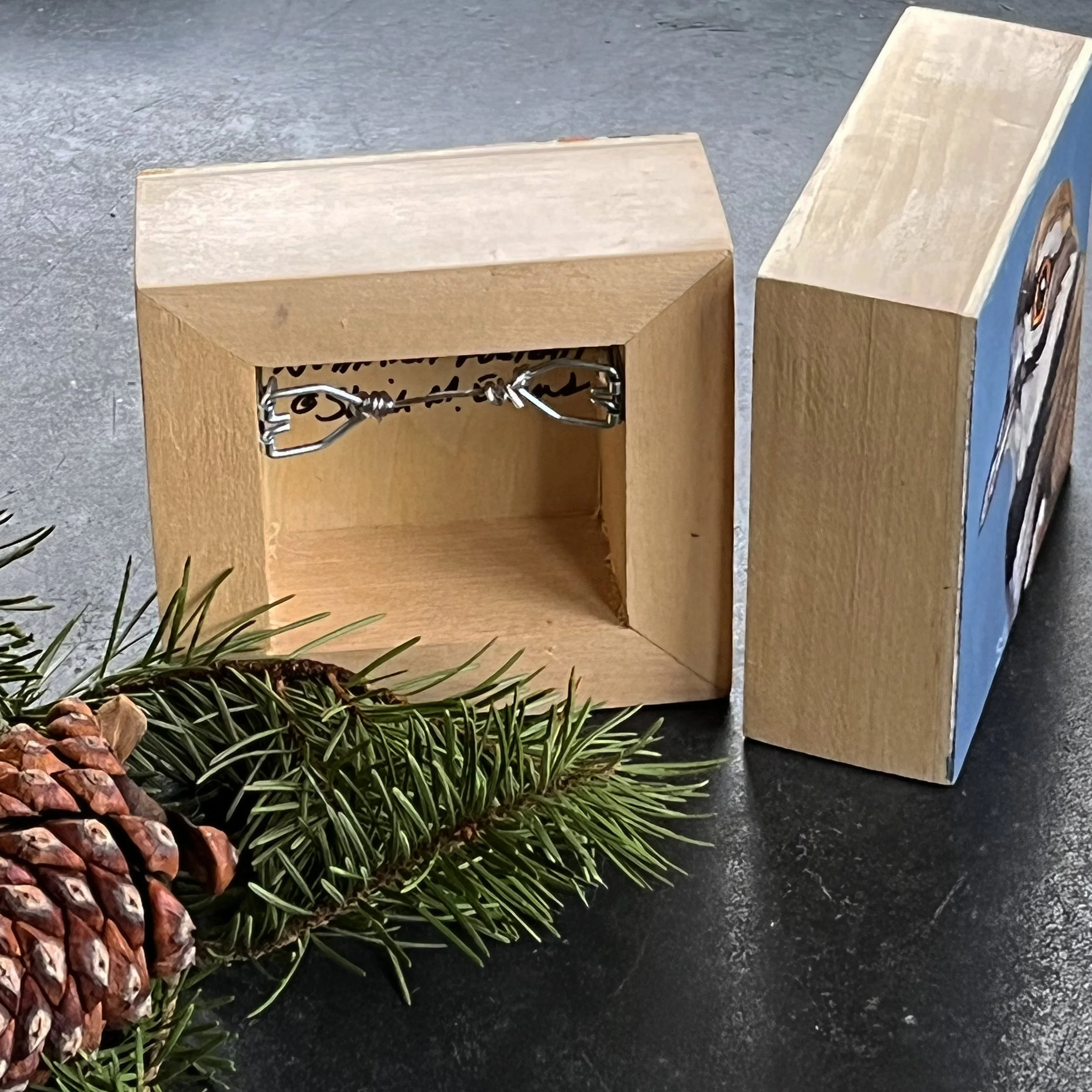 Side and Back view.jpg