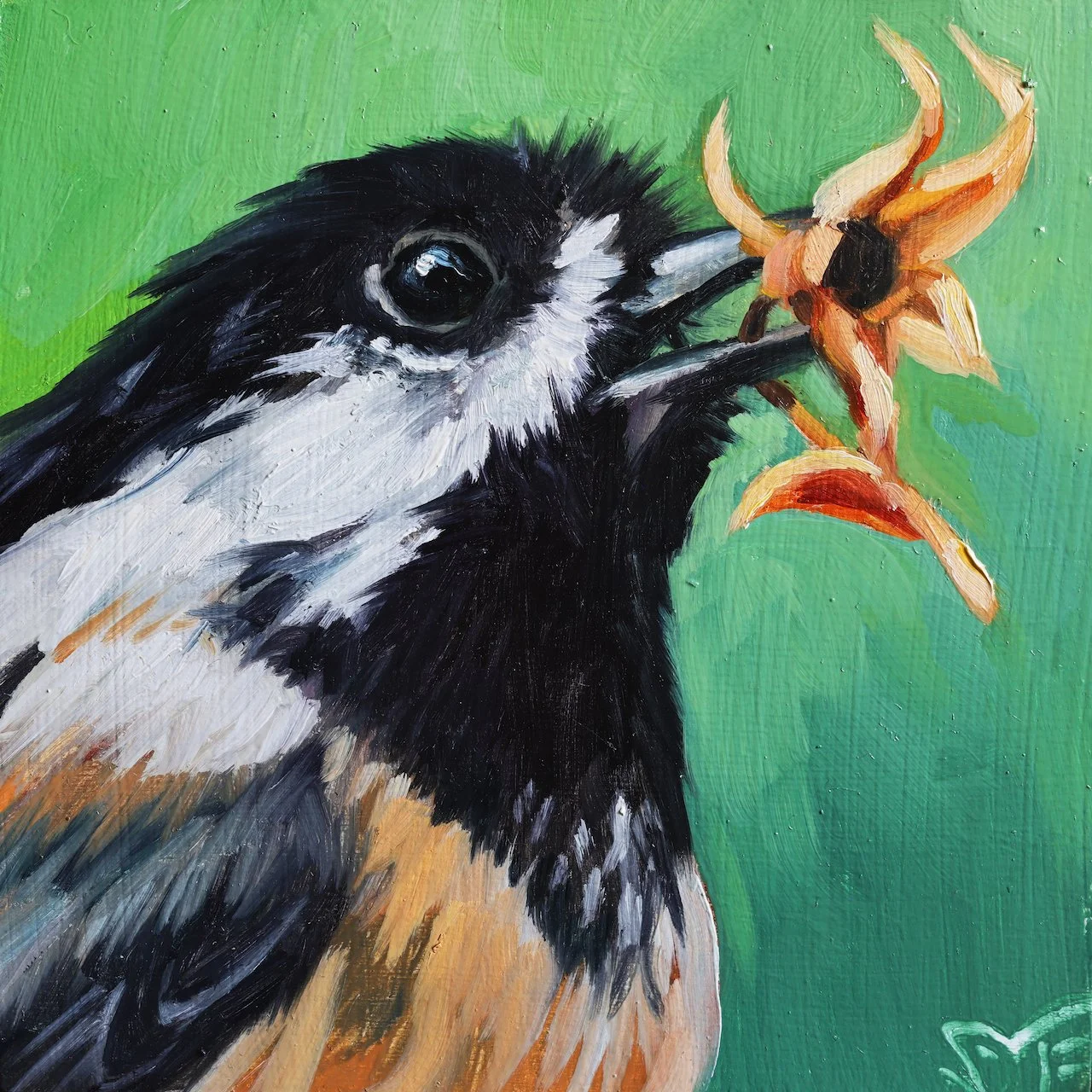 Black-Capped Chickadee 4x4.jpeg