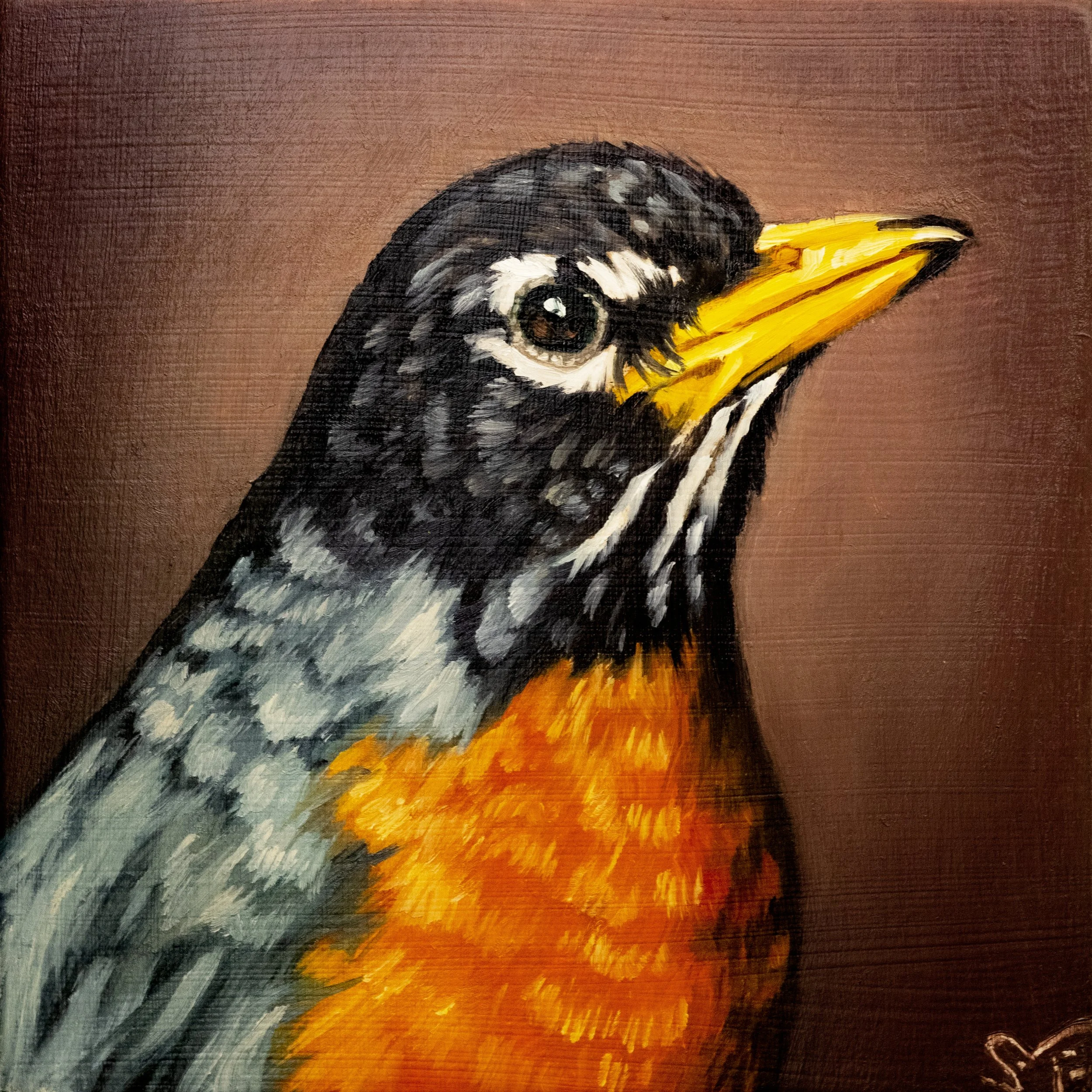 Robin Portrait.jpg