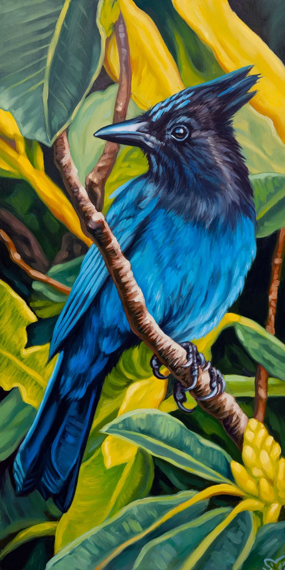 Rhapsody in Blue 2 24x12.jpg