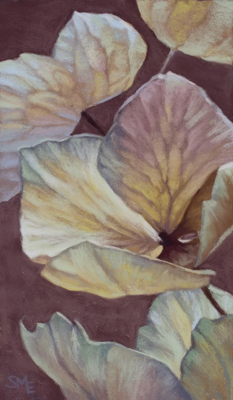 Moon Garden Study.jpeg