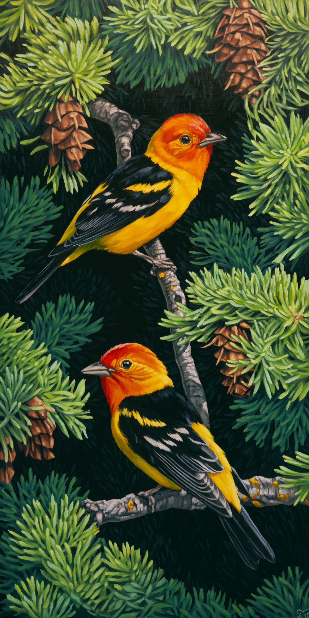 Two Tanagers