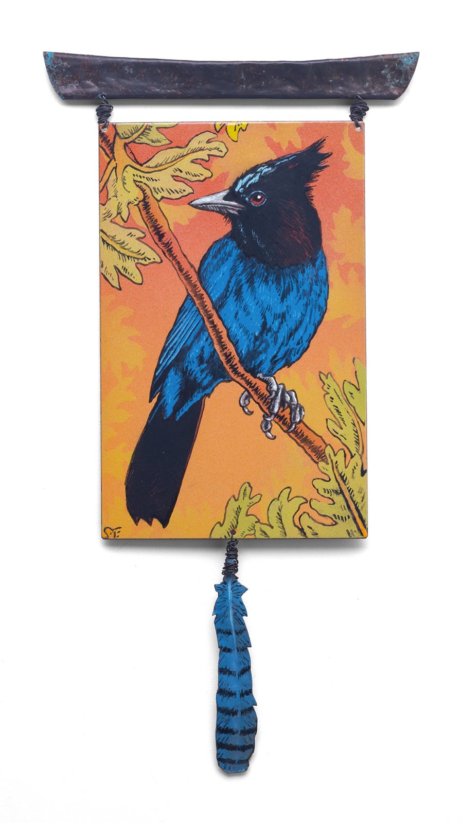 Steller's Jay Offering 2