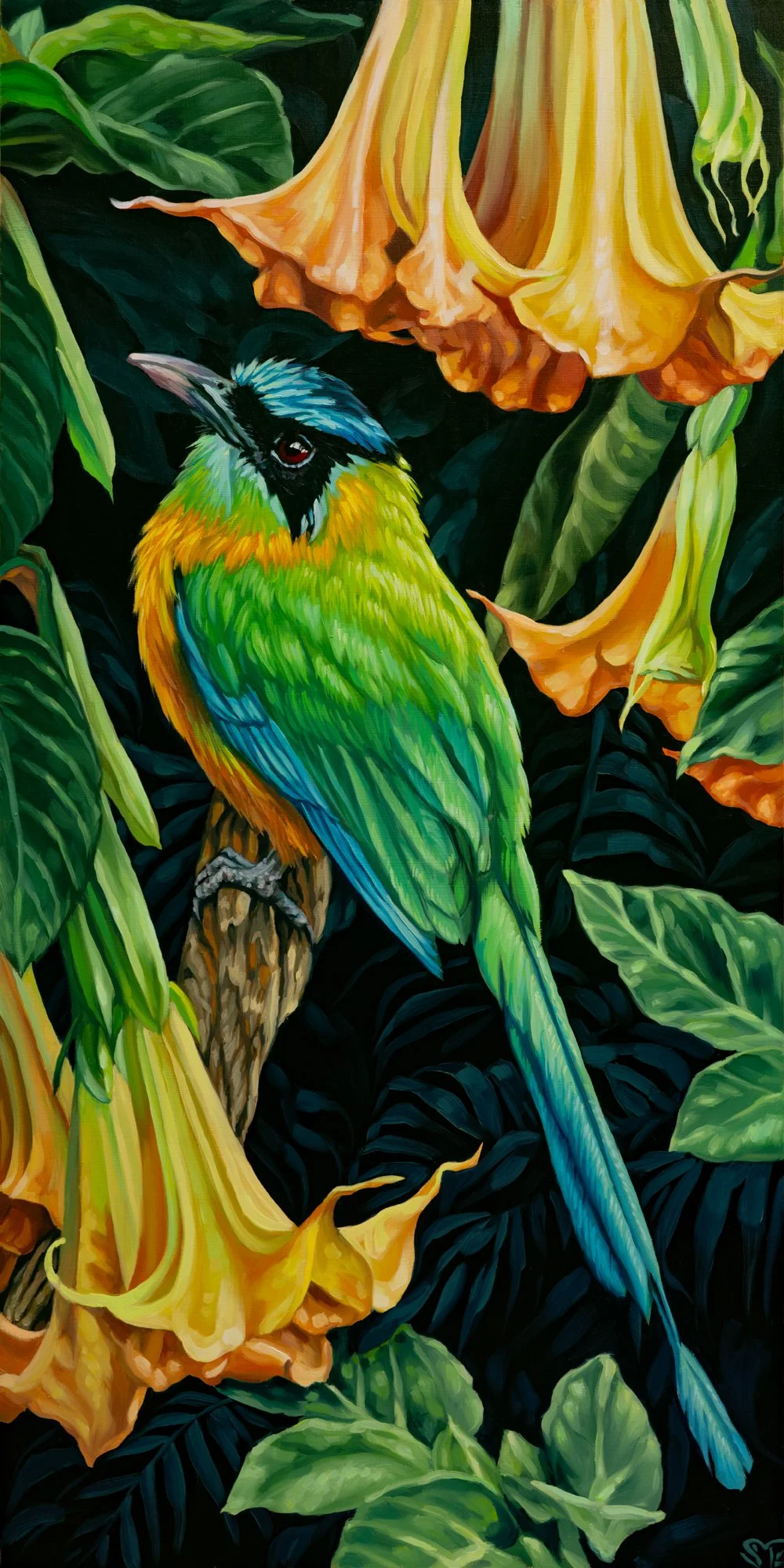 Cover of Nightshade.jpg