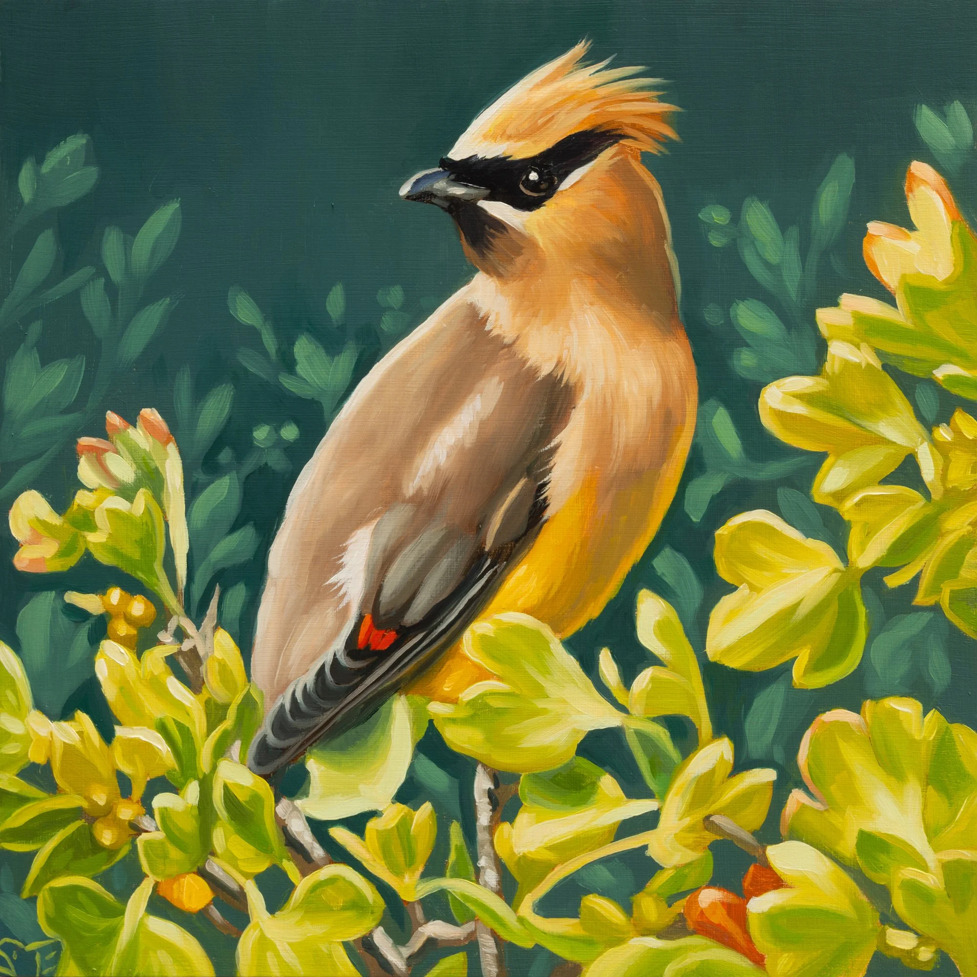 Cedar and Currant.jpg