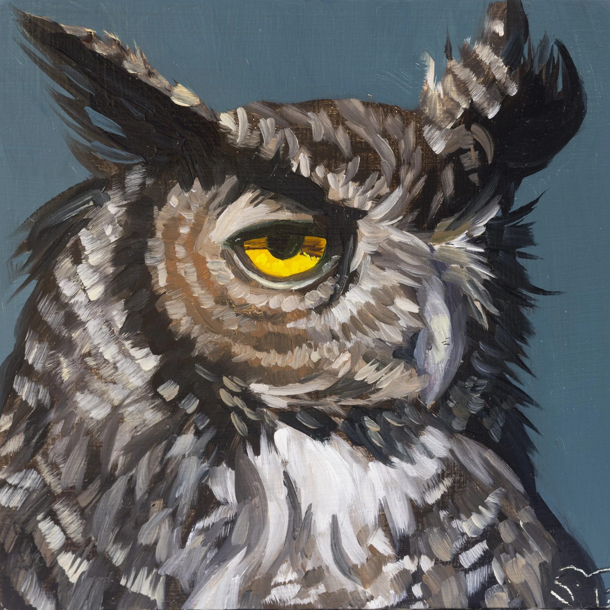 Great Horned Owl Portrait 16.jpg