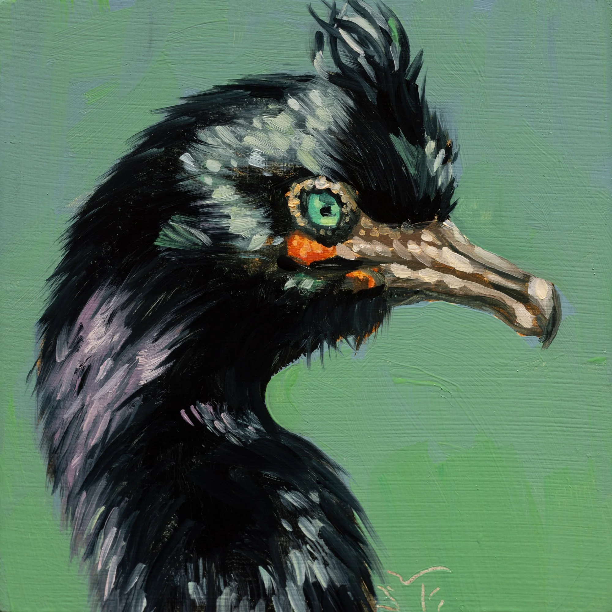 Double-crested Cormorant Portrait 3.jpg