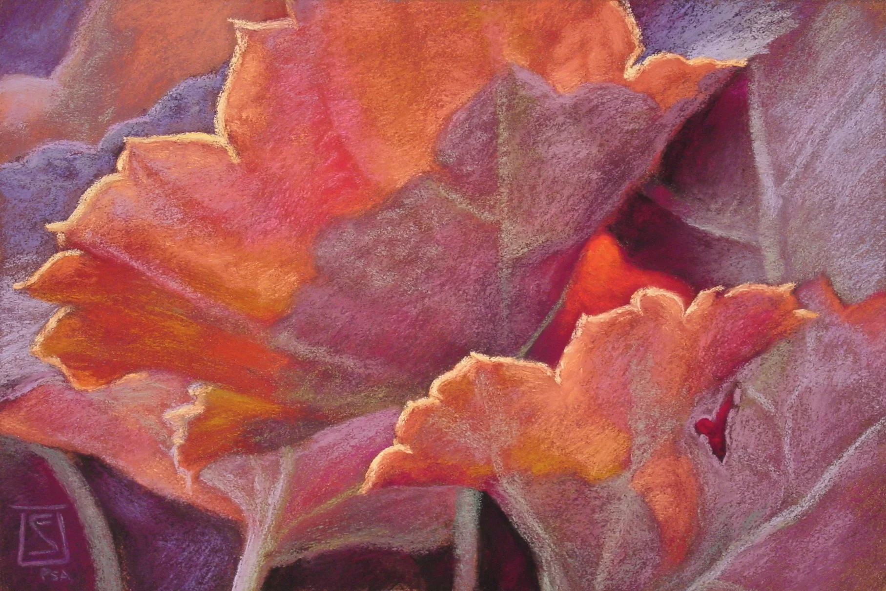 Solstice Study.jpg.jpeg