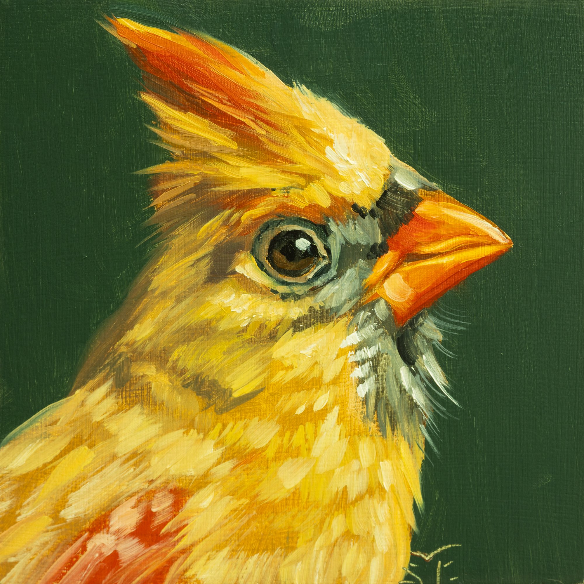 Northern Cardinal Female Portrait 3.jpg