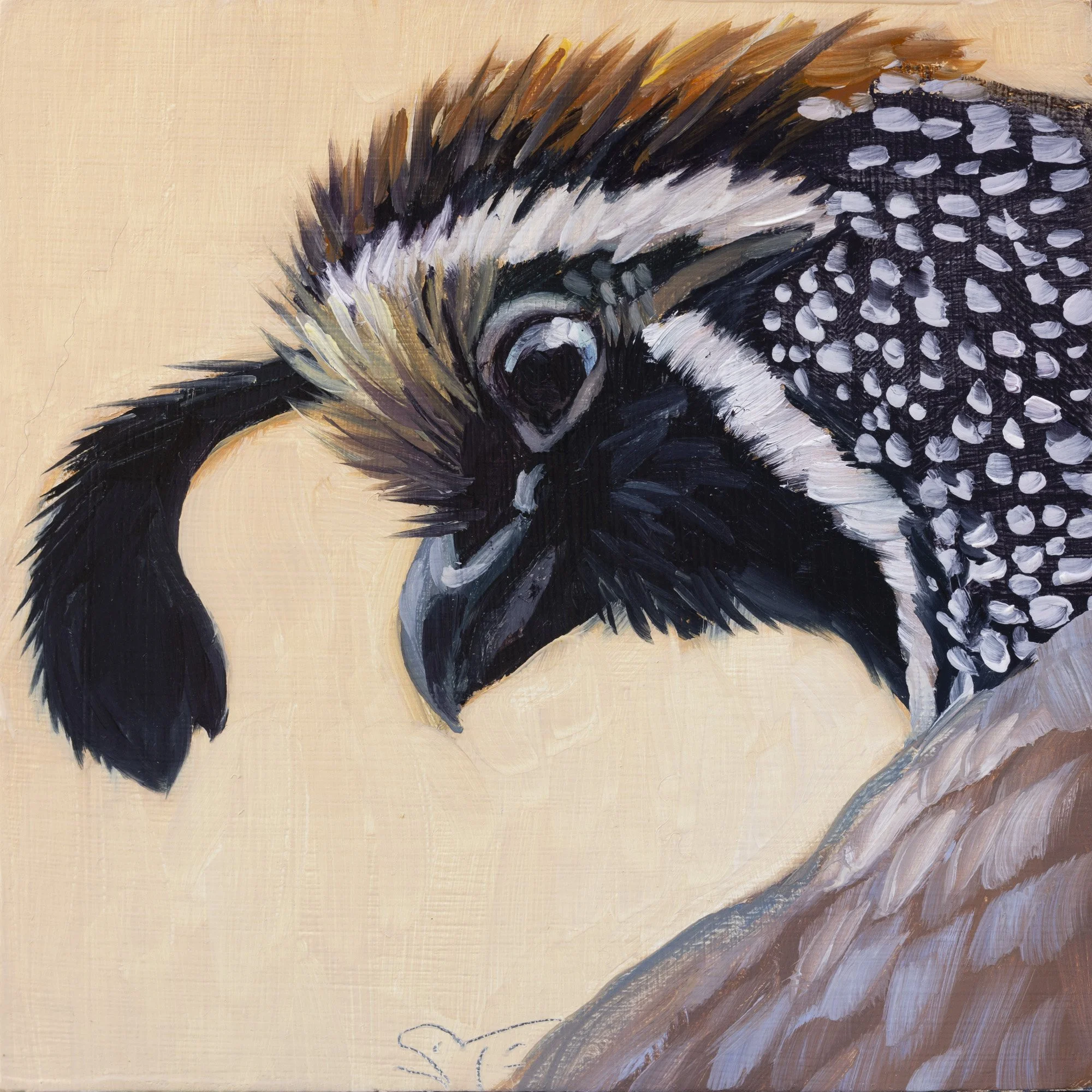 California Quail Portrait 36.jpg