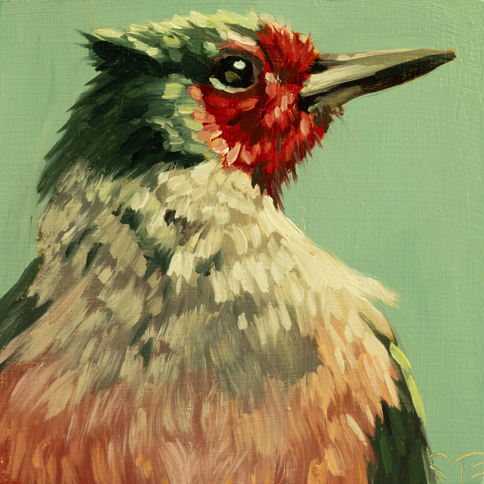 Lewis's Woodpecker Portrait 1.jpg
