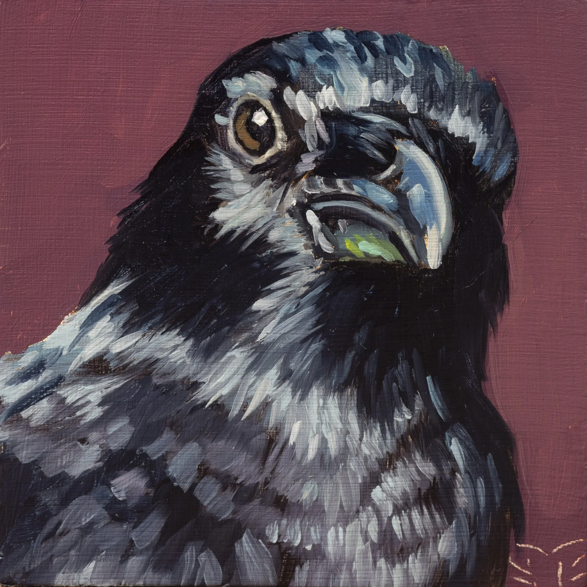 American Crow Portrait 13.jpg