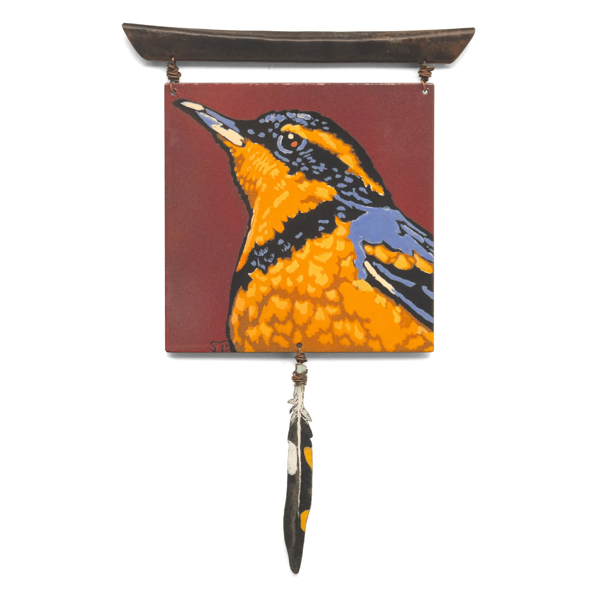 Varied Thrush Token 1 square.jpg