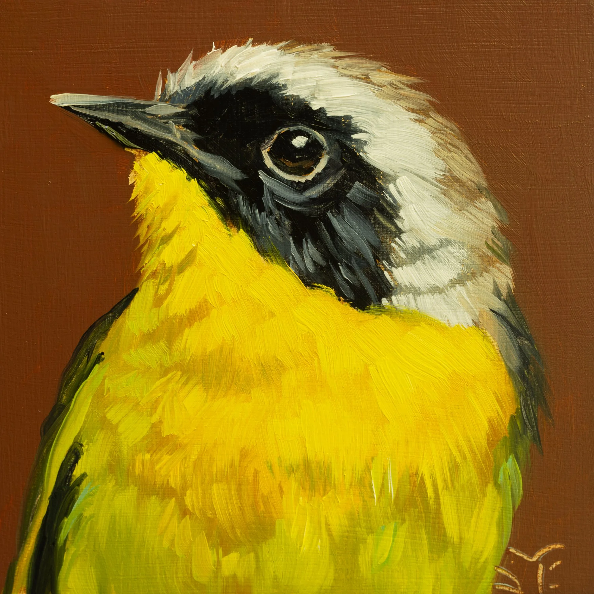 Common Yellowthroat Portrait 5.jpg