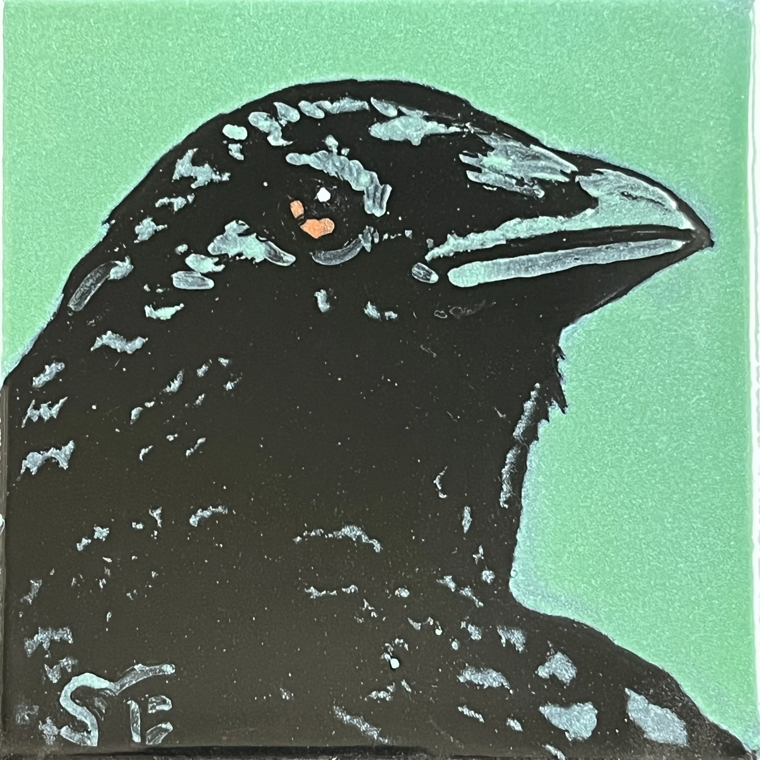 Crowster Judgey - turquey.jpg