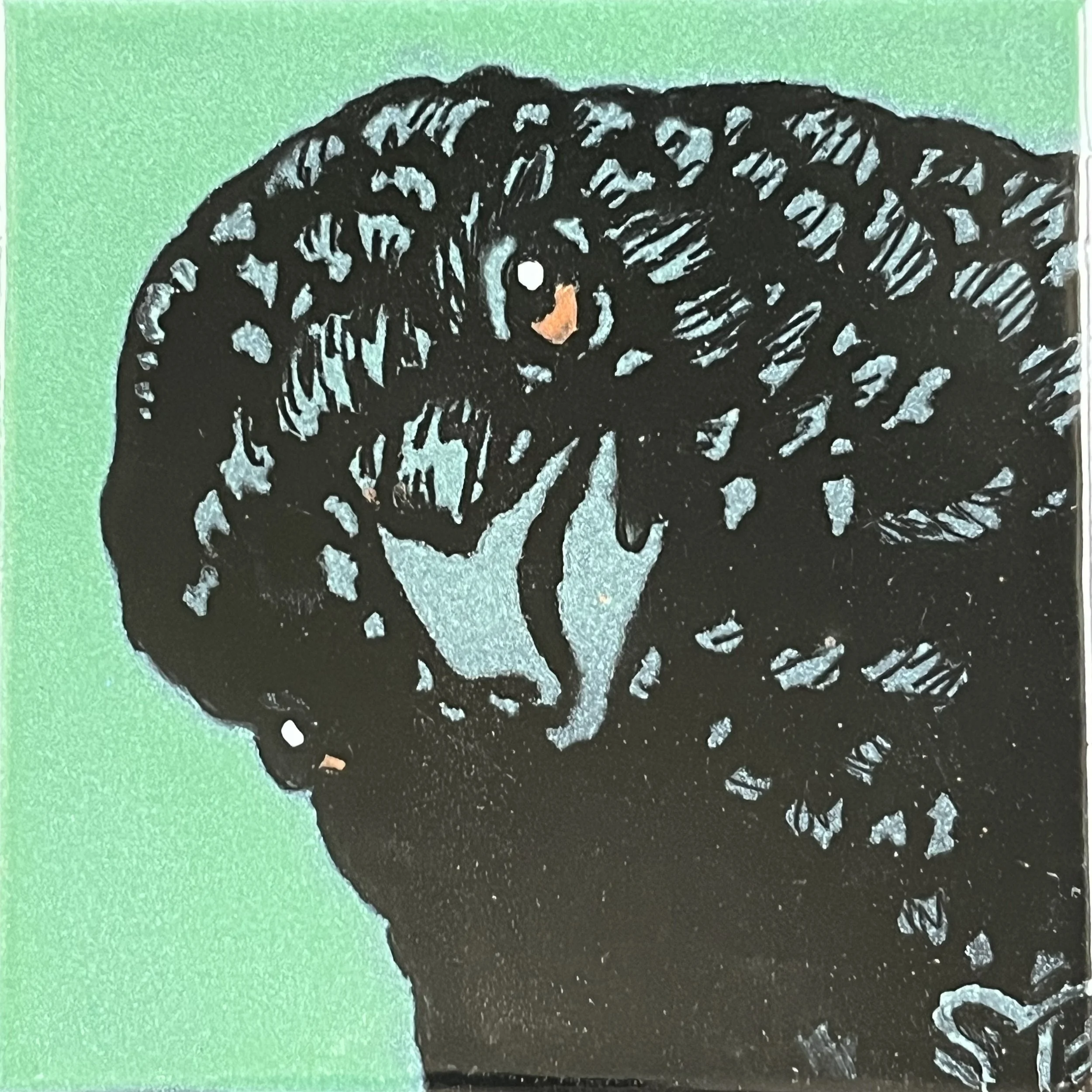 Crowster Seriously - turquey.jpg