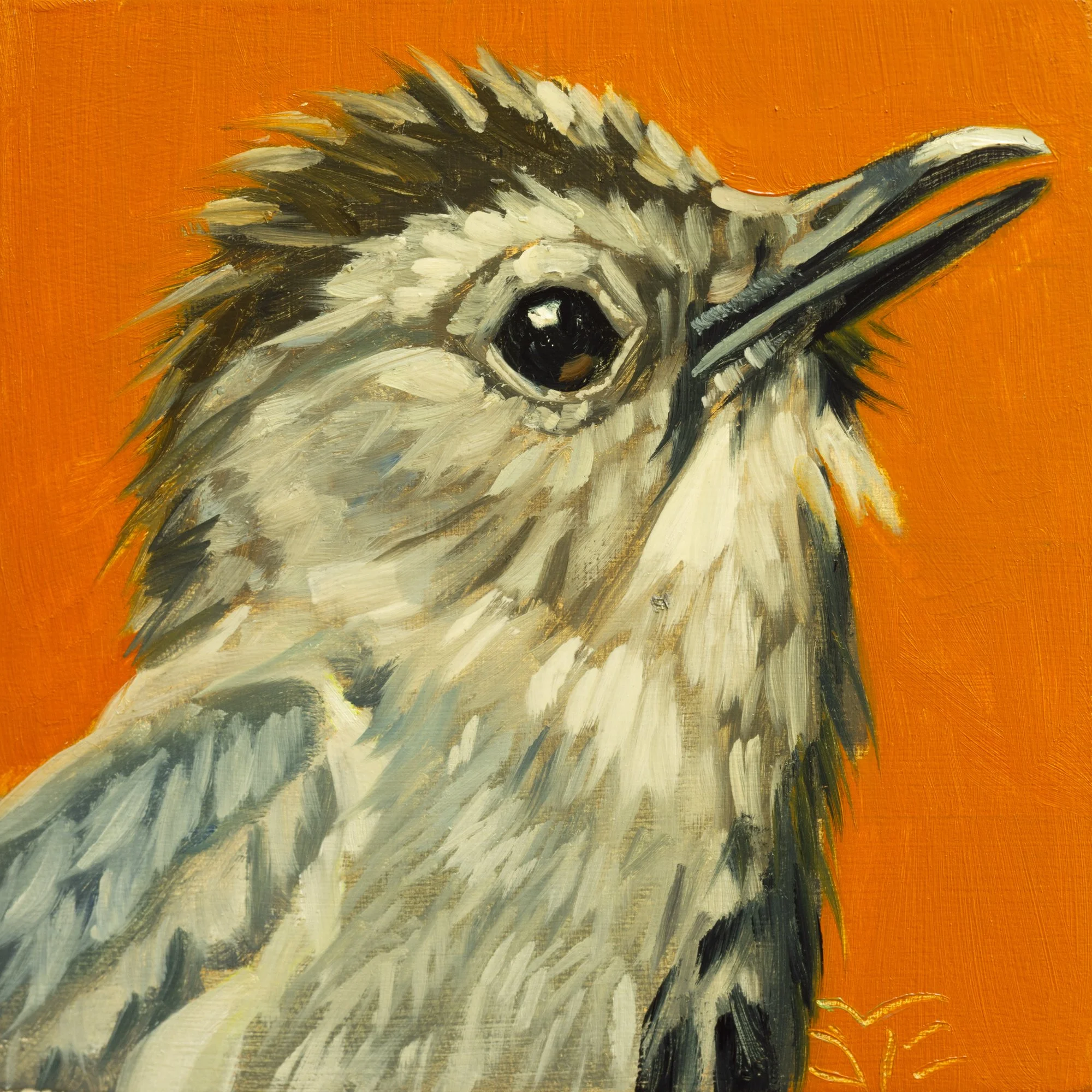 Gray Catbird Portrait 4.jpg