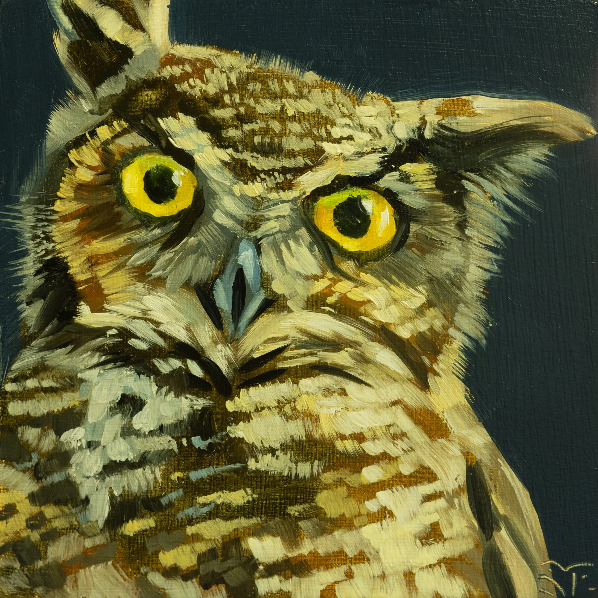 Great Horned Owl Portrait 15.jpg