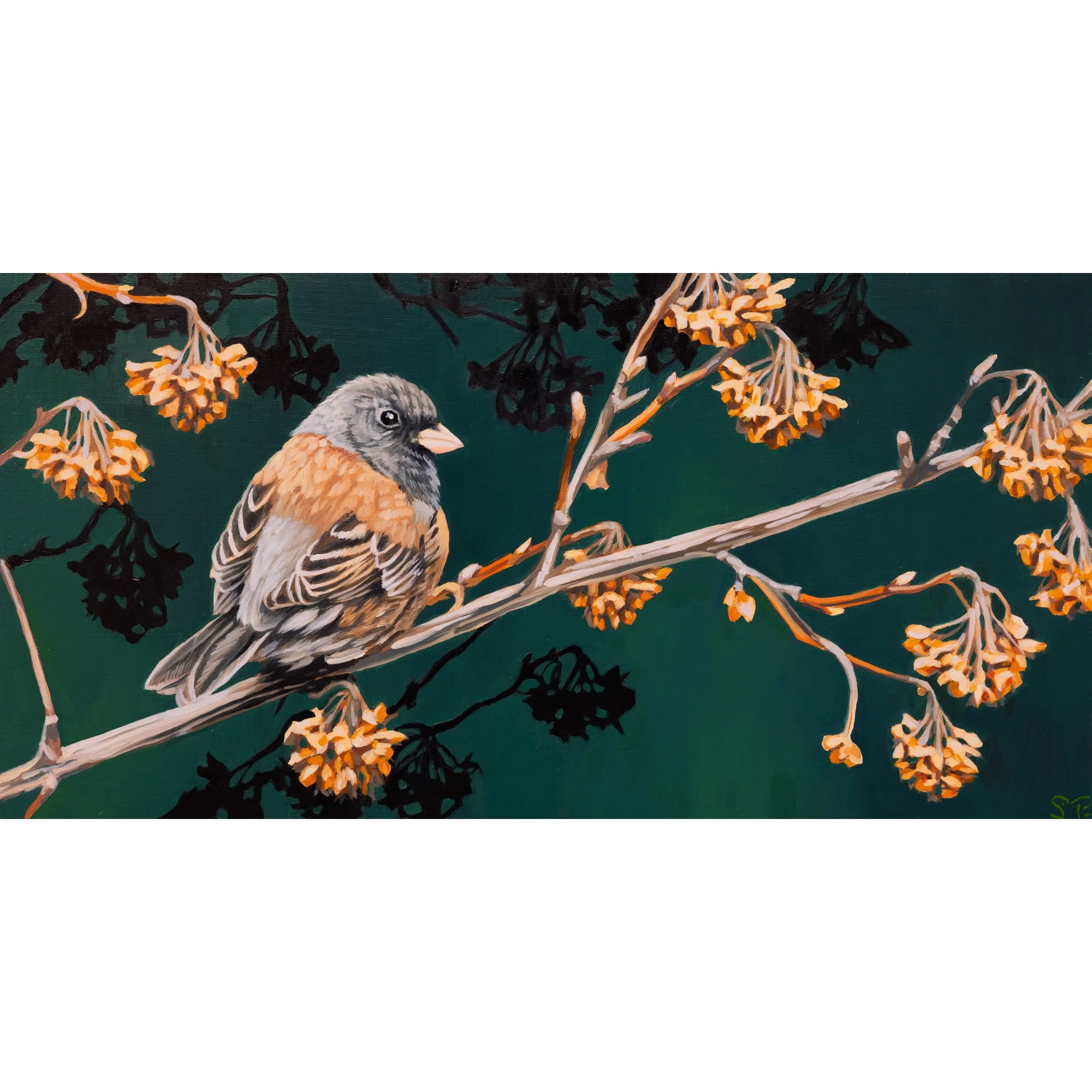 Miss Oregon 2 square.jpg