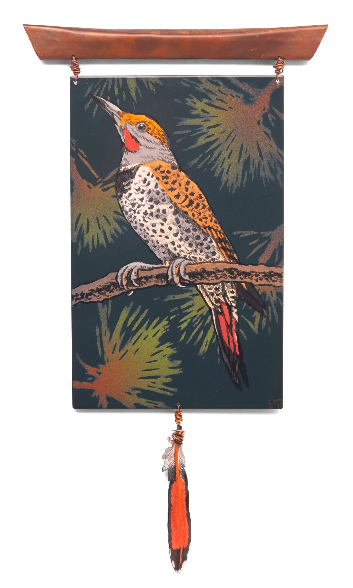 Northern Flicker Offering 7.jpg