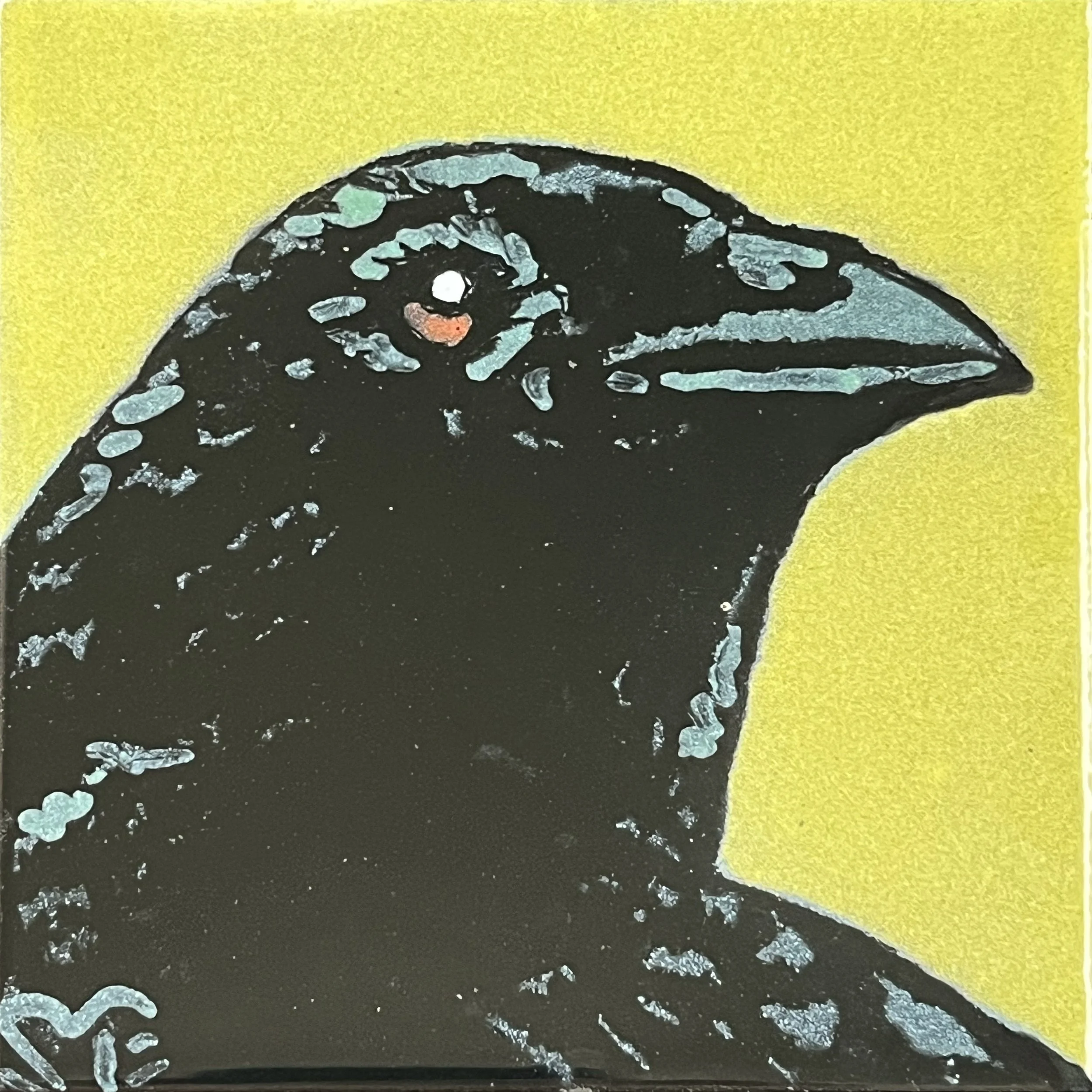 Crowster Judgey - limeade.jpg