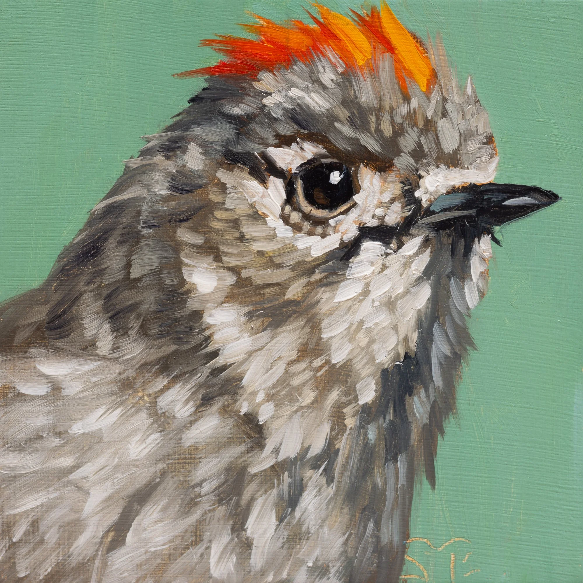 Ruby-crowned Kinglet Portrait 5.jpg