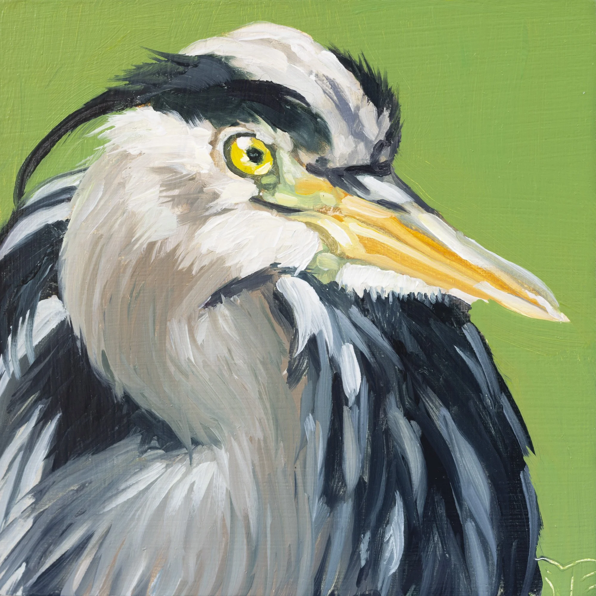 Great Blue Heron Portrait 7.jpg