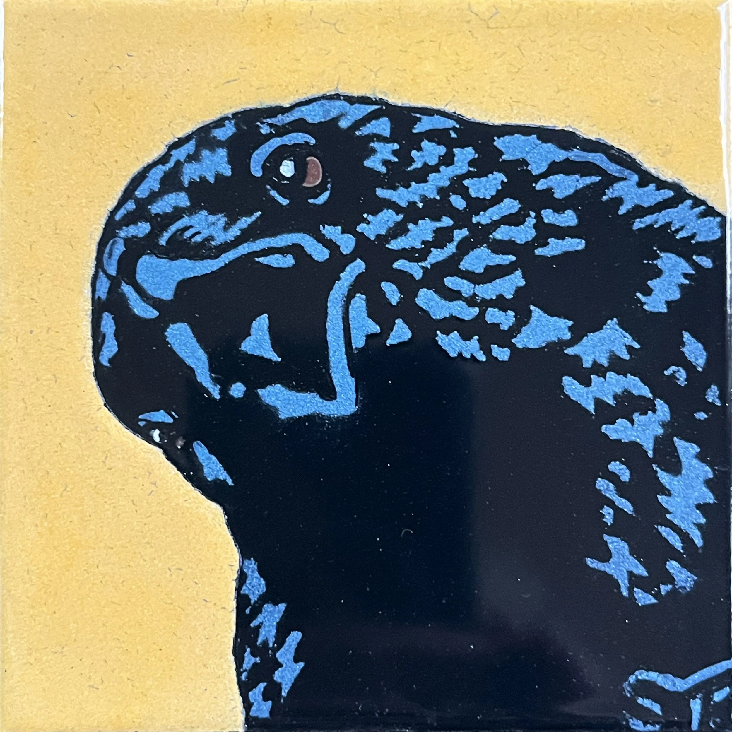 Crowster Scandalized - Sun.jpg