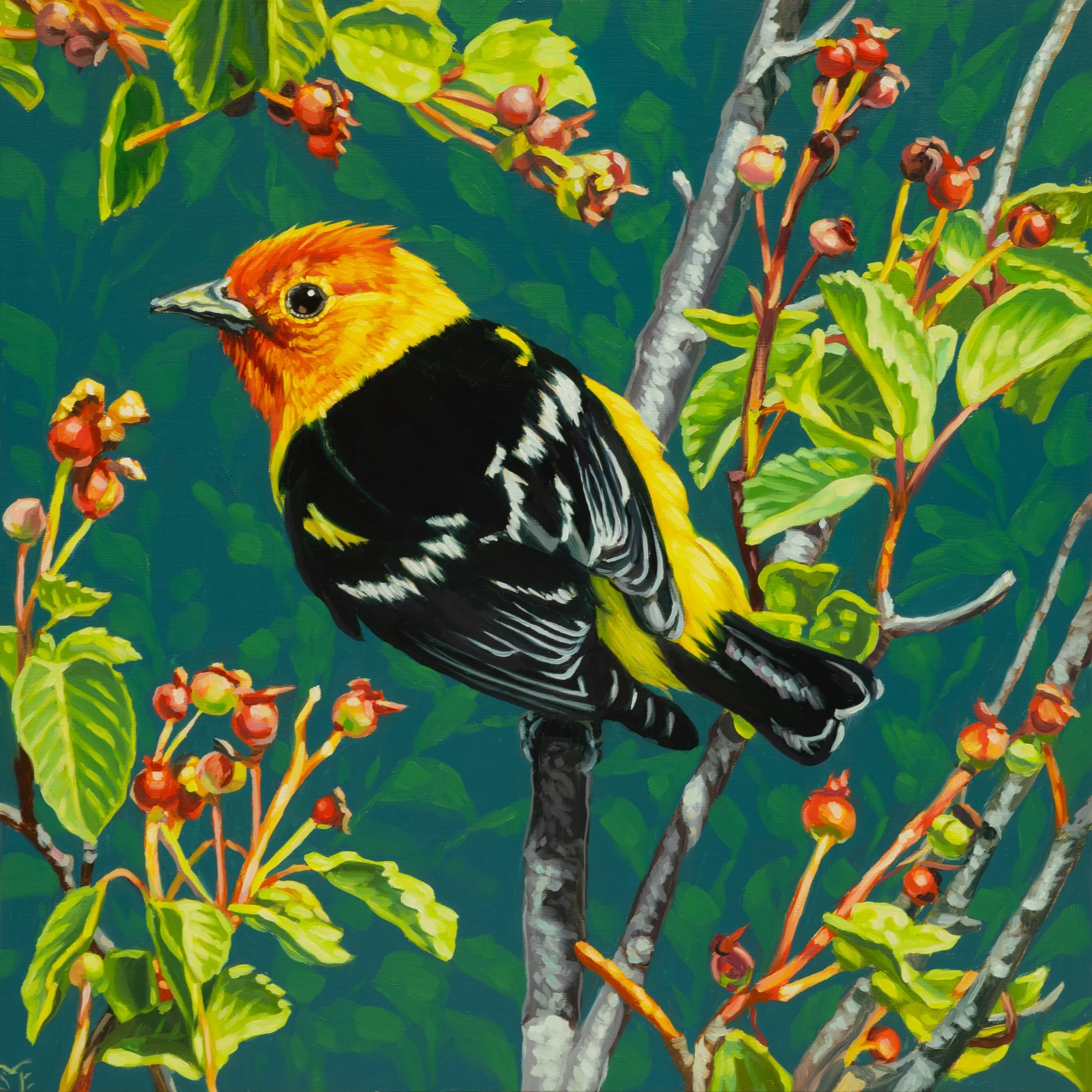 Serviceberry Season.jpg