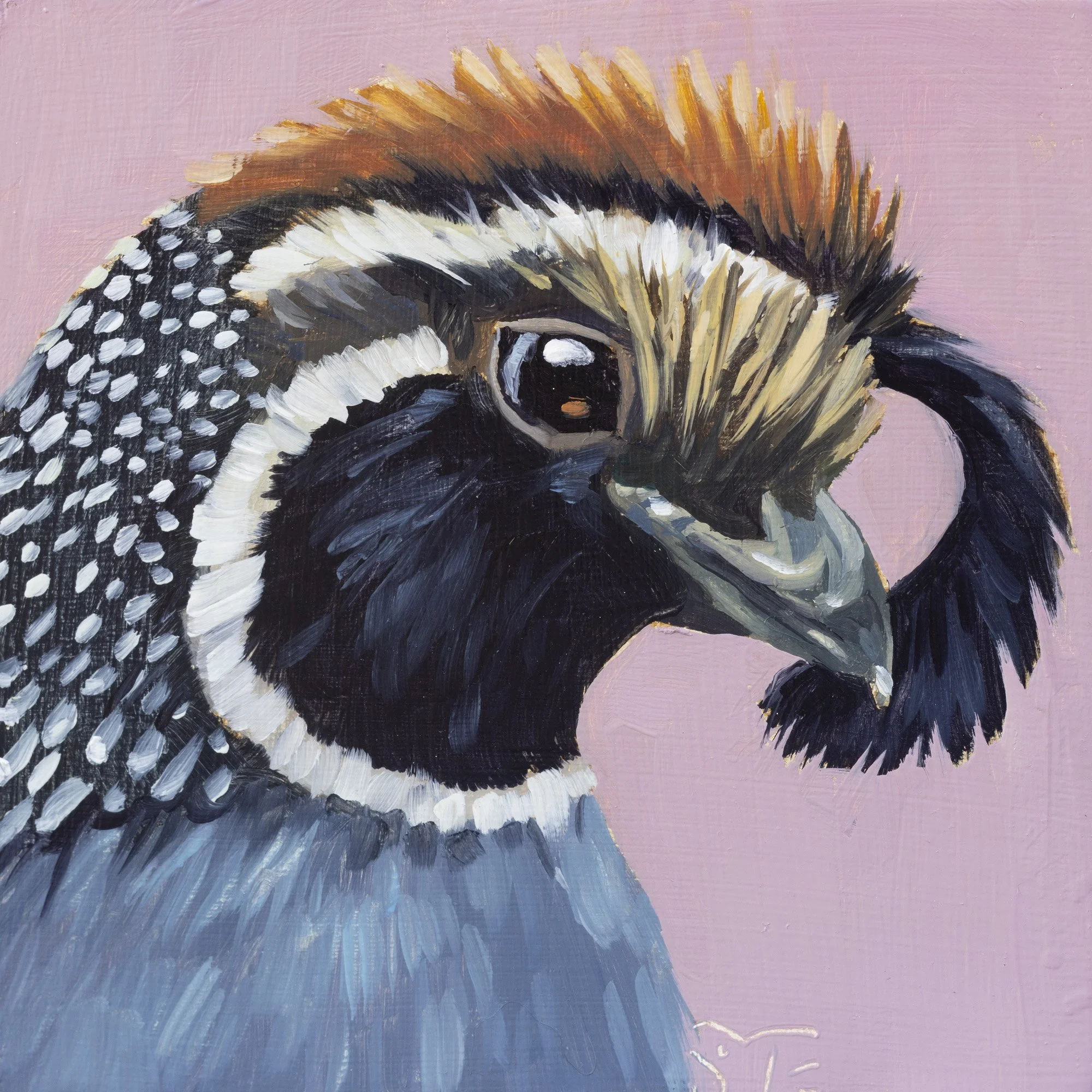 California Quail Portrait 35.jpg