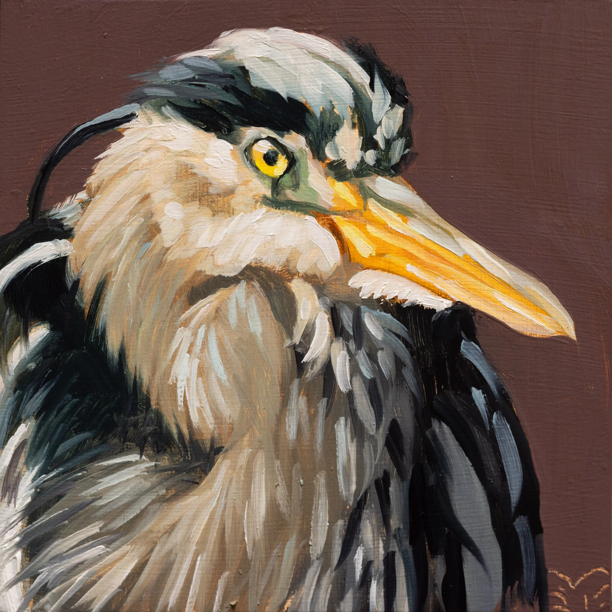 Great Blue Heron Portrait 6.jpg
